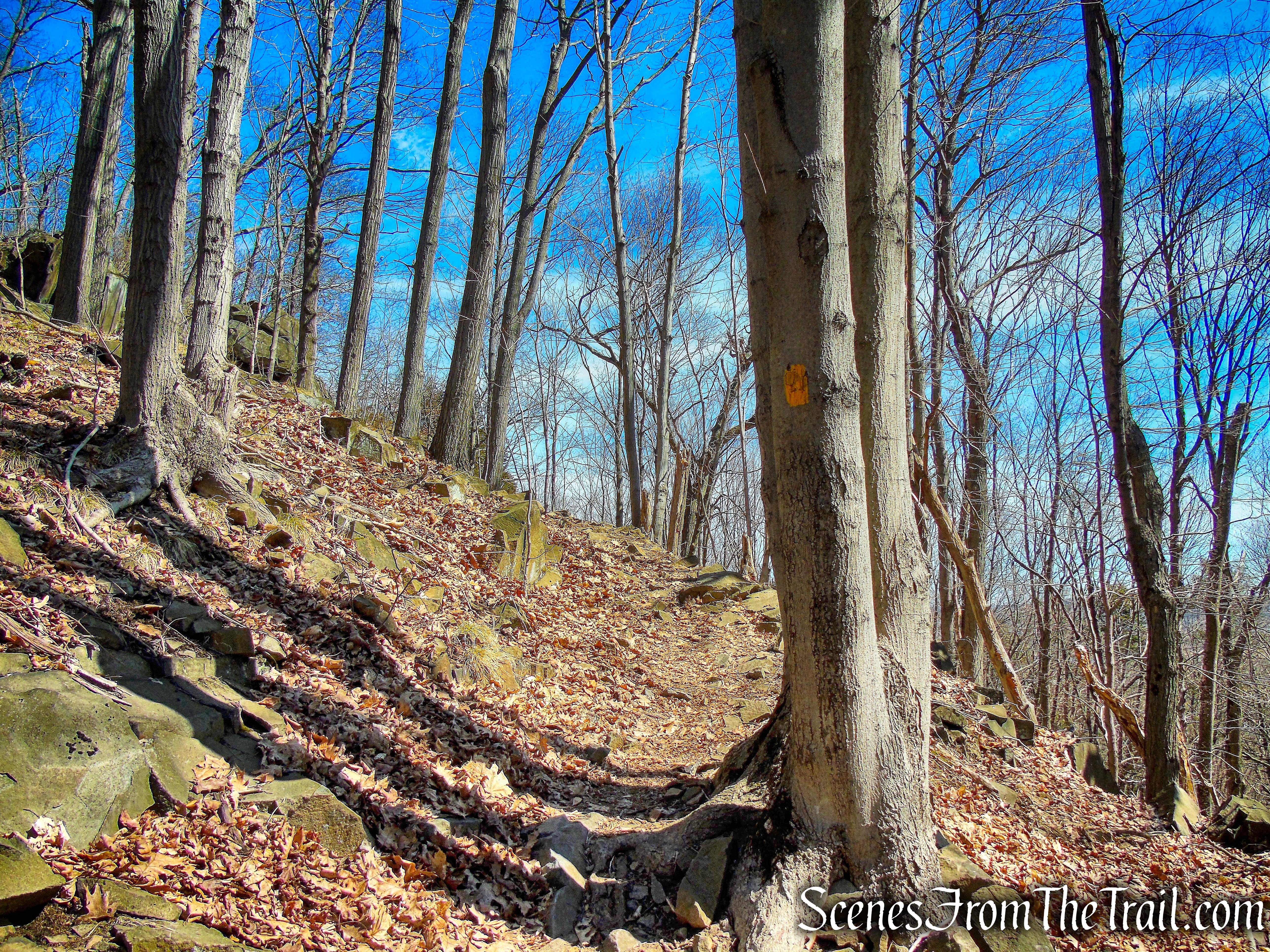 Yellow Trail - East Rock Park