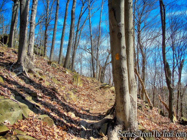 Yellow Trail - East Rock Park