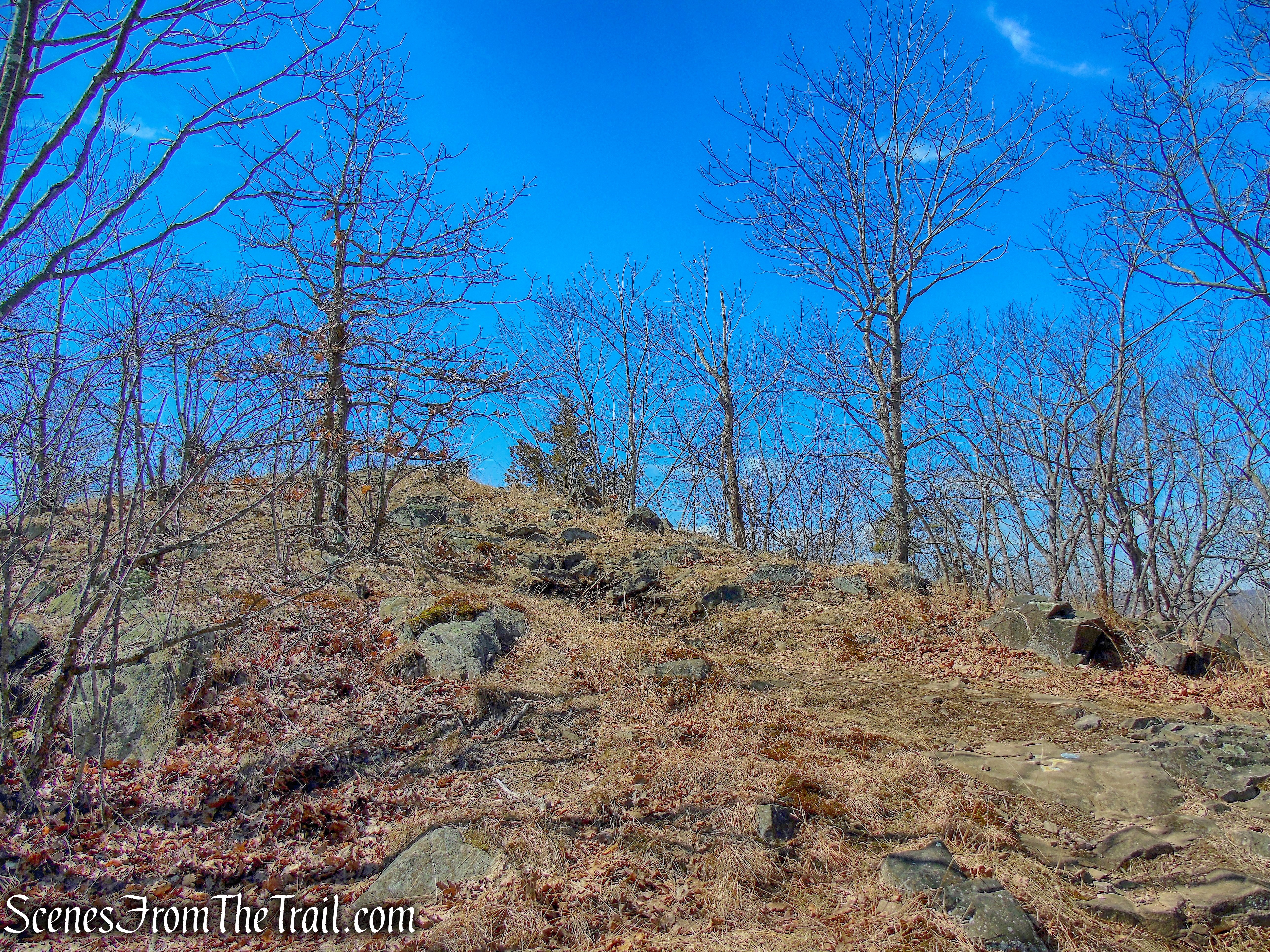 approaching Whitney Peak summit - Yellow Trail - East Rock Park