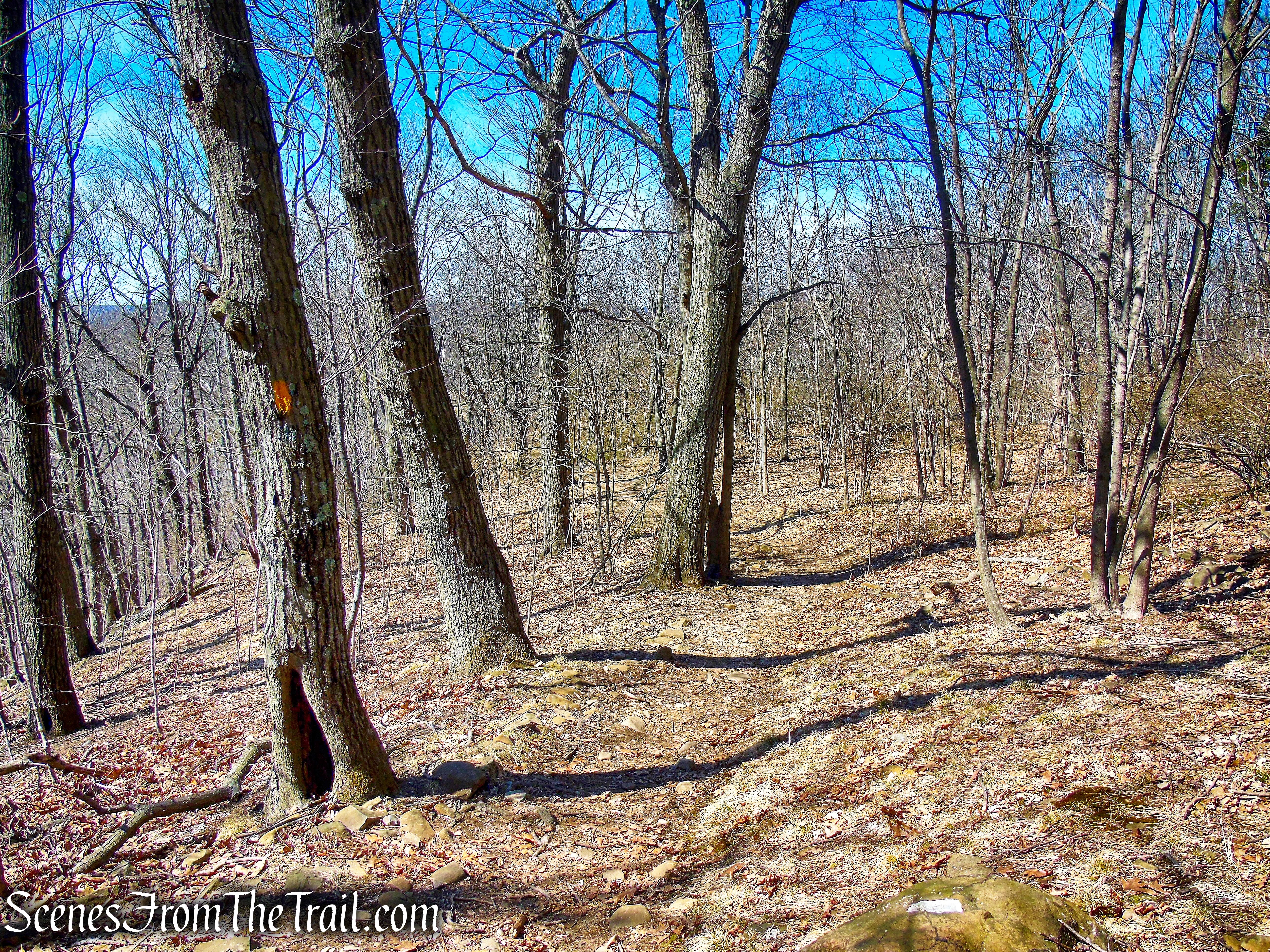 Yellow Trail - East Rock Park