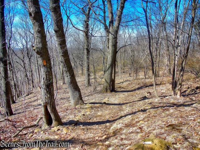 Yellow Trail - East Rock Park