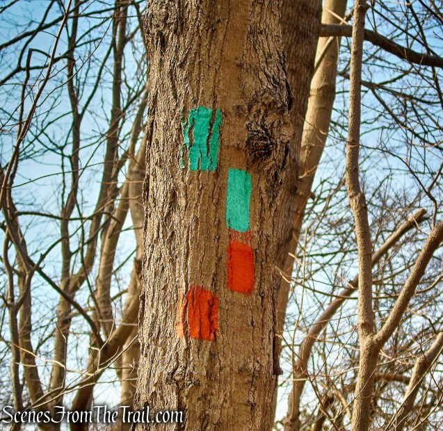 turn left on Long Path