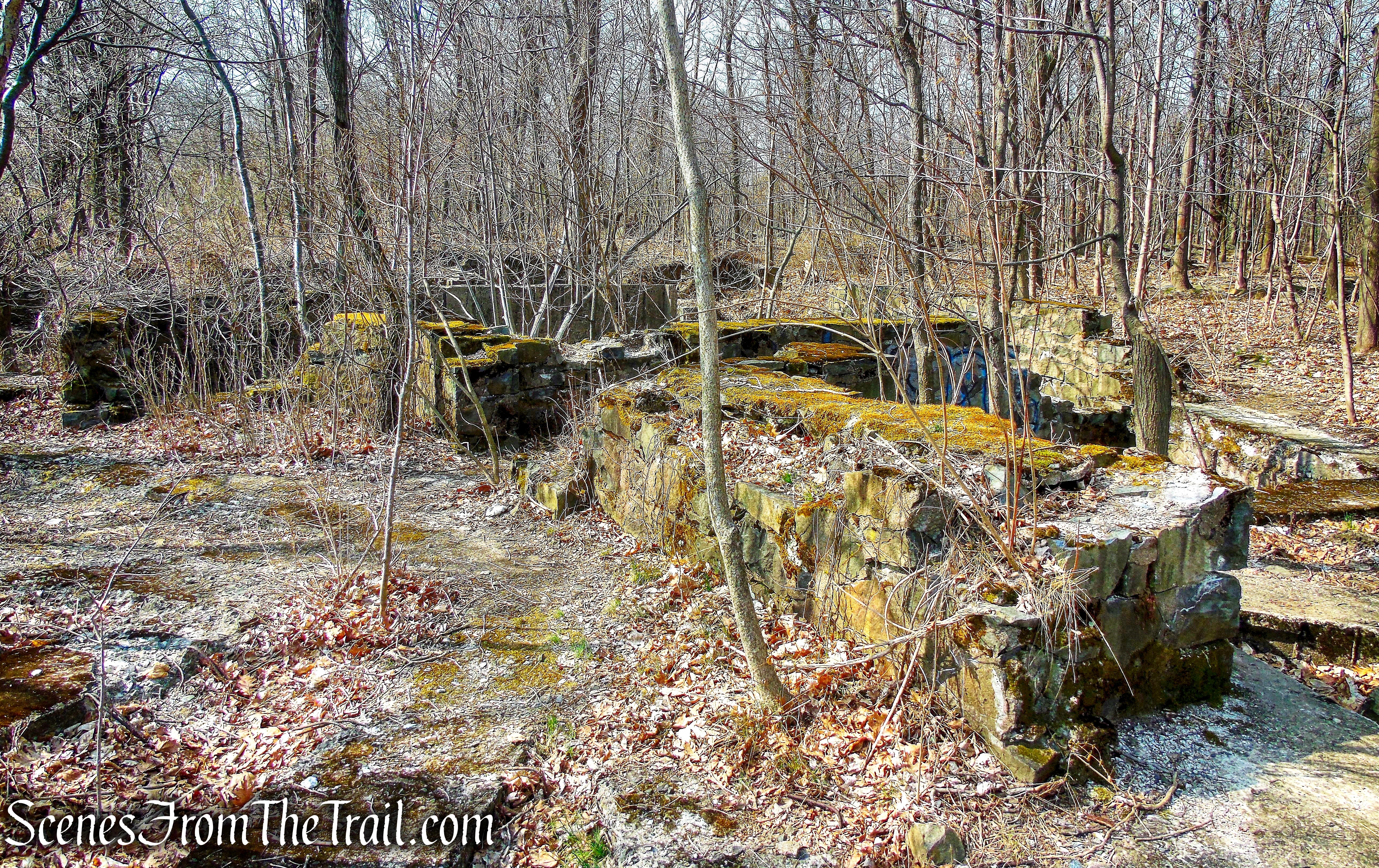 Fokker ruins on the Long Path