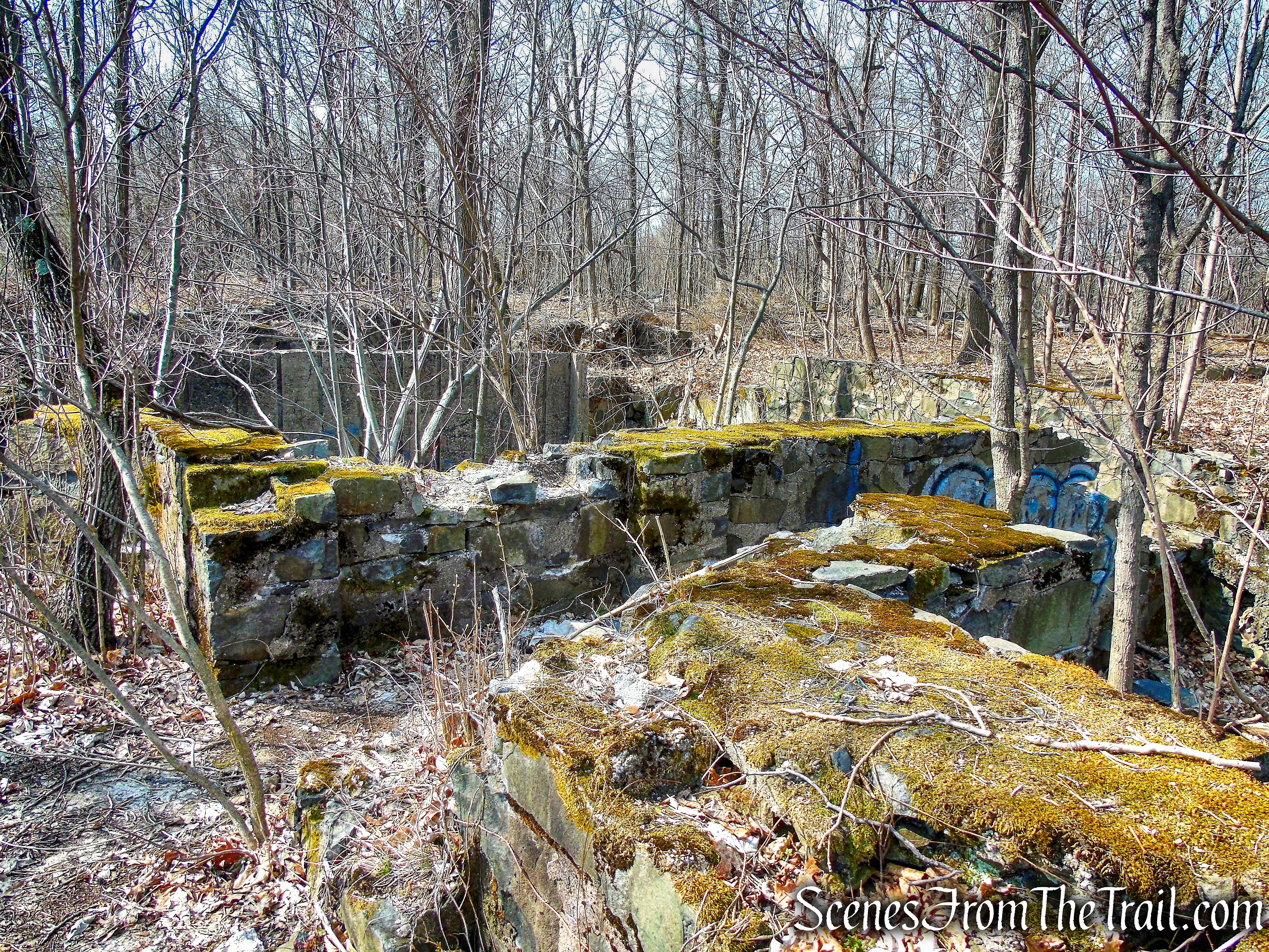 Fokker ruins on the Long Path
