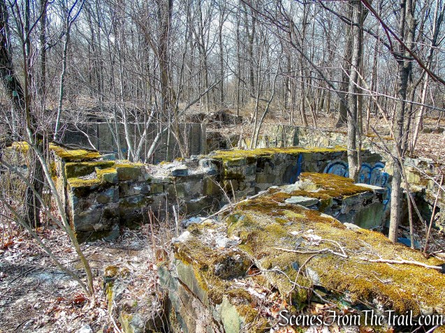 Fokker ruins on the Long Path