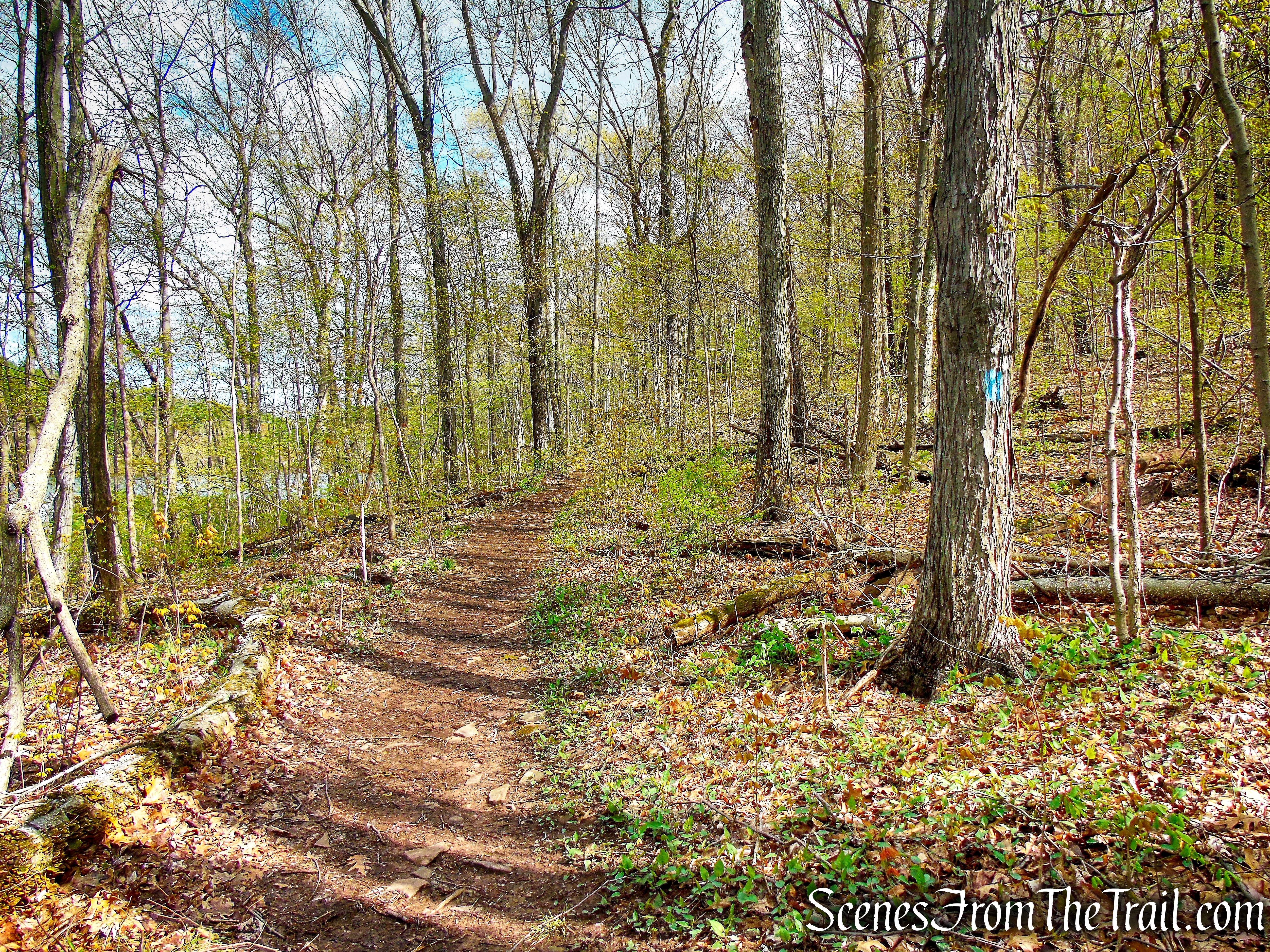Mattabesett Trail - Giuffrida Park