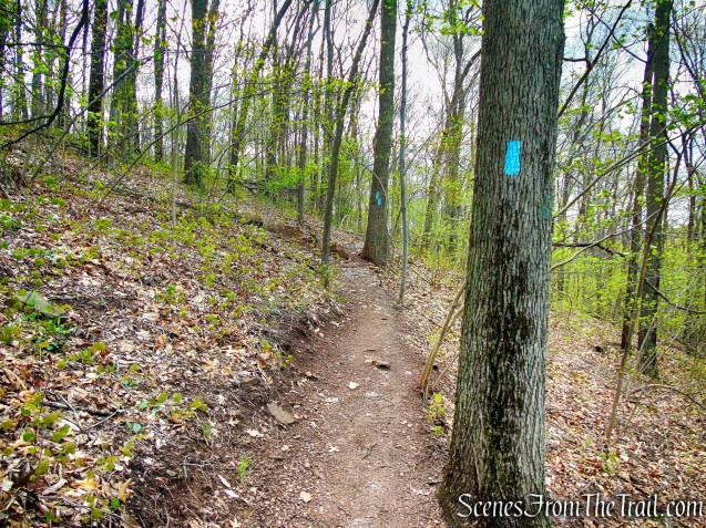 Mattabesett Trail - Chauncey Peak