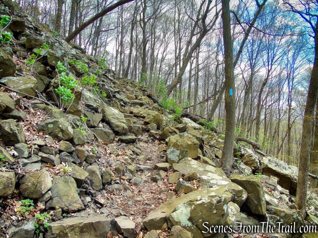 Mattabesett Trail - Chauncey Peak