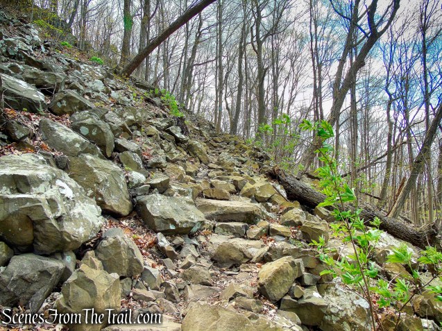 Mattabesett Trail - Chauncey Peak