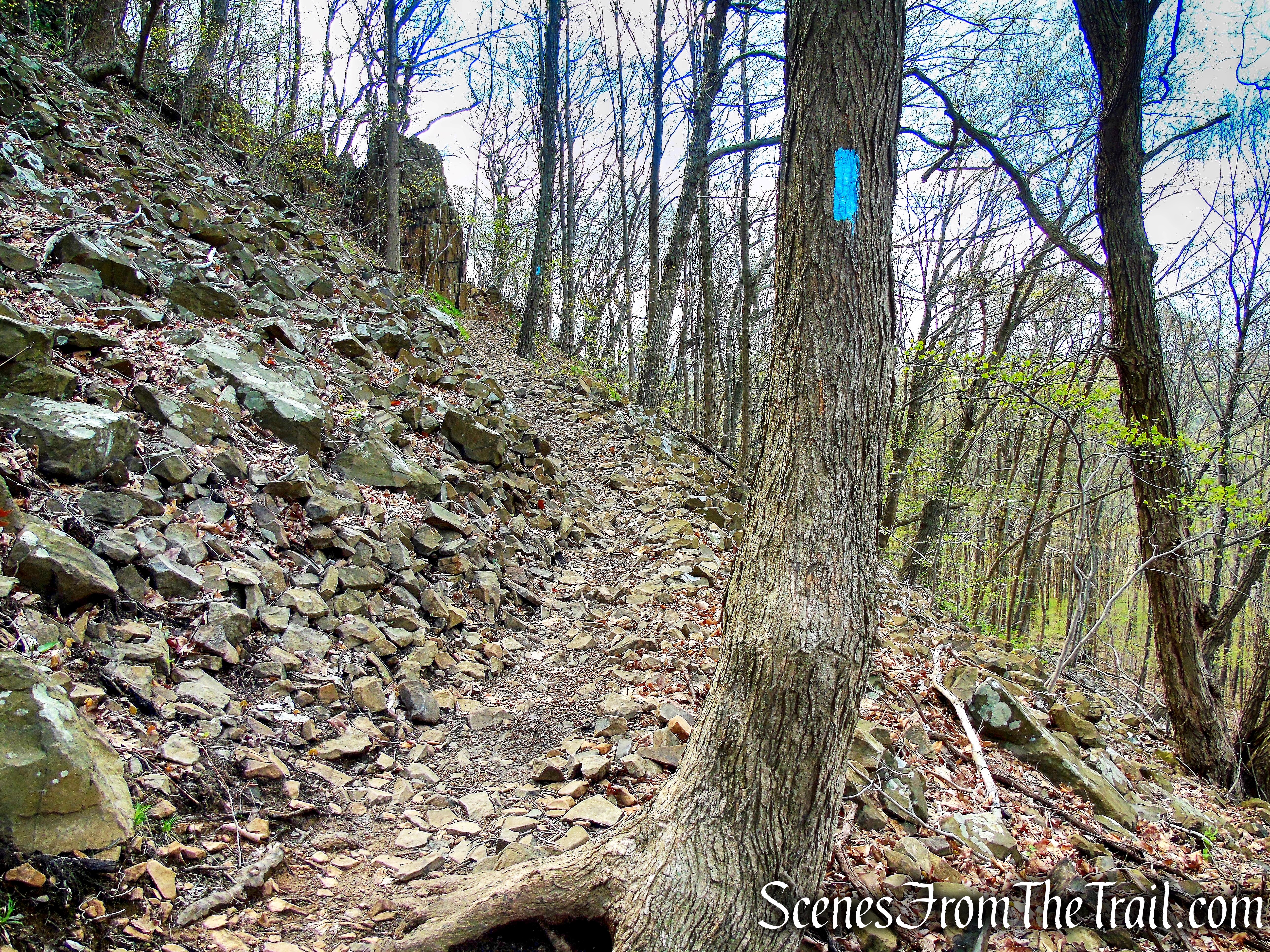 Mattabesett Trail - Chauncey Peak