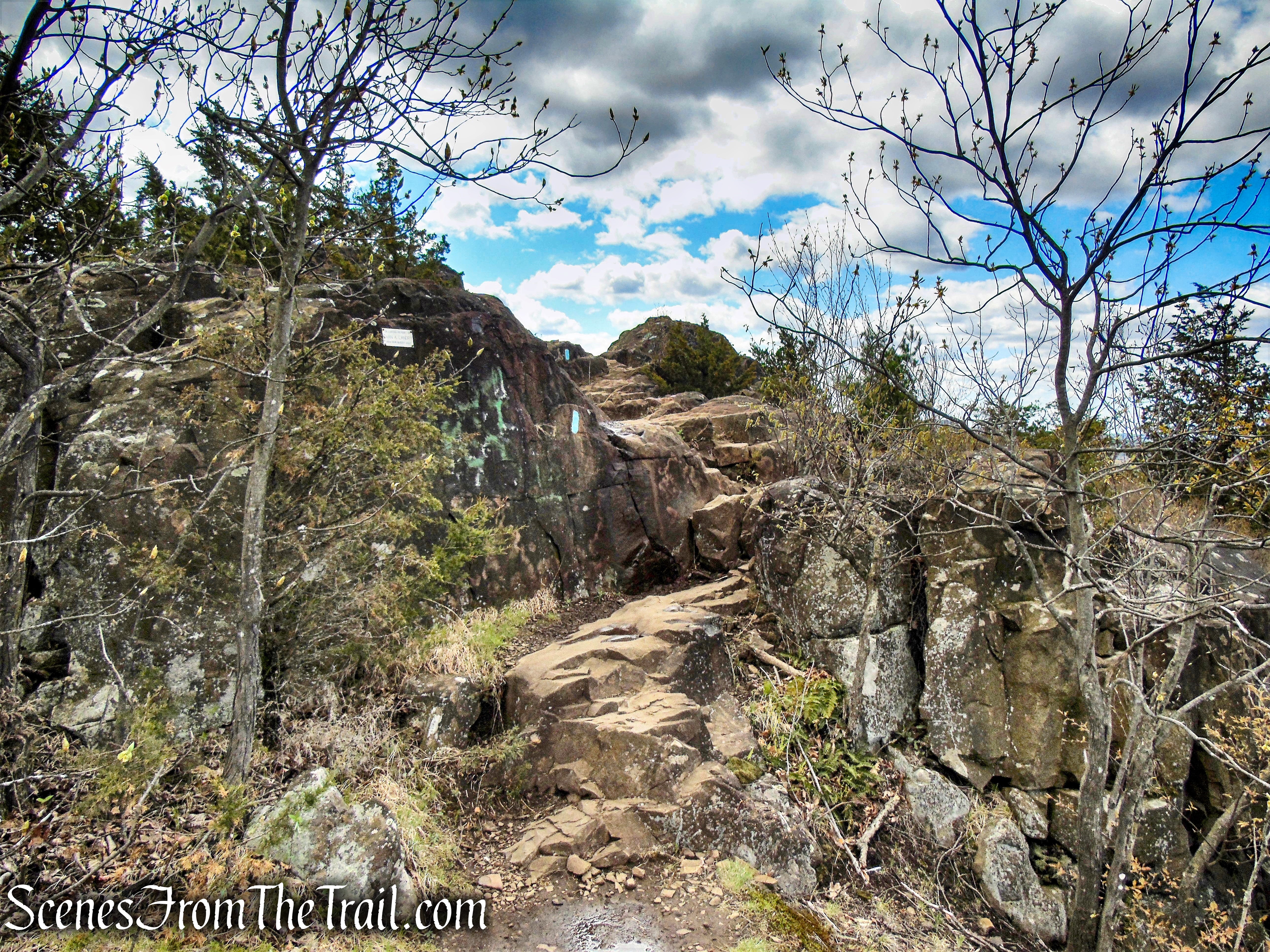 Mattabesett Trail - Chauncey Peak