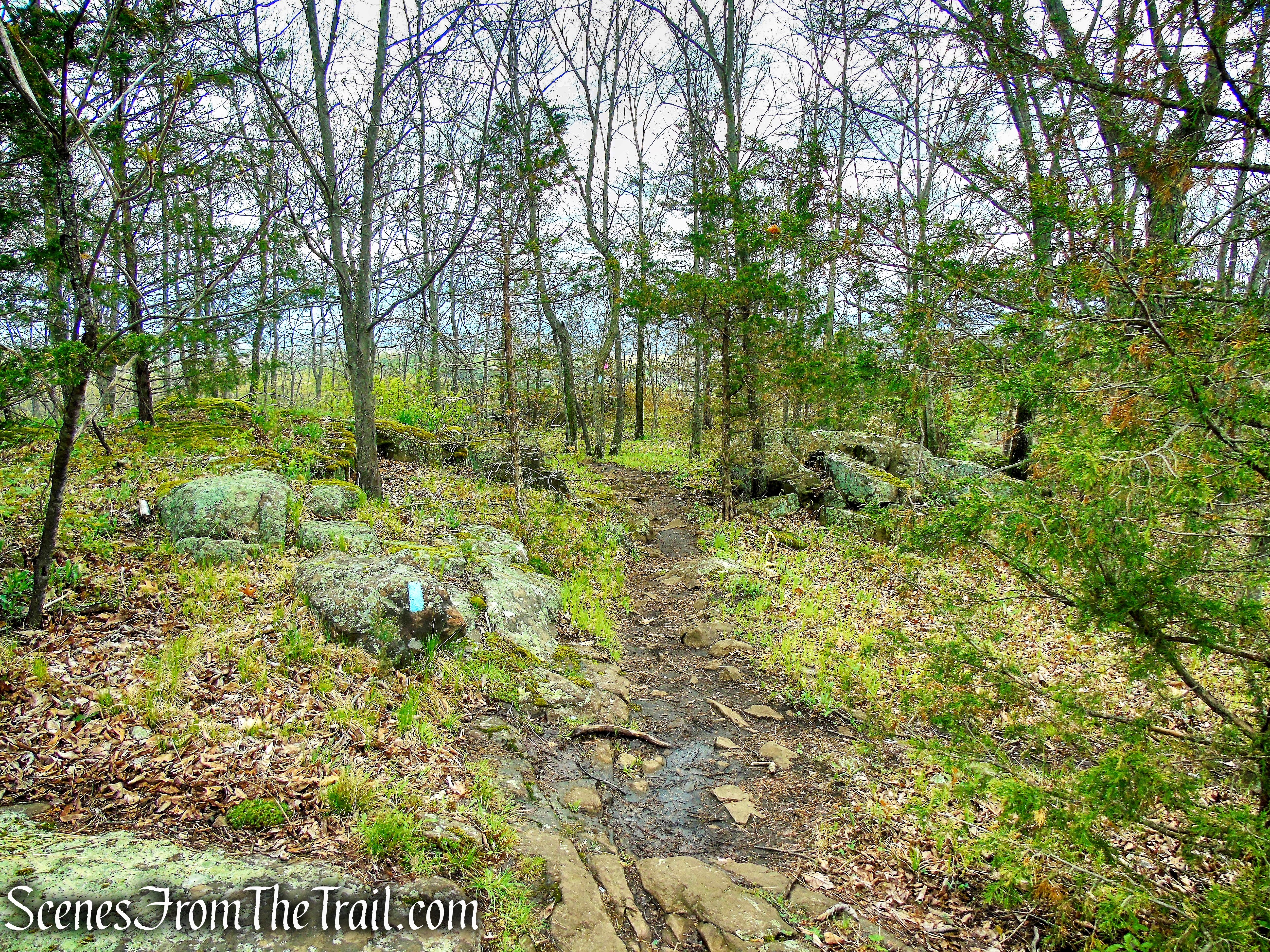 Mattabesett Trail - Chauncey Peak