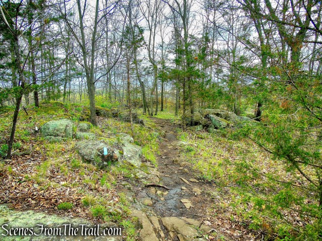 Mattabesett Trail - Chauncey Peak