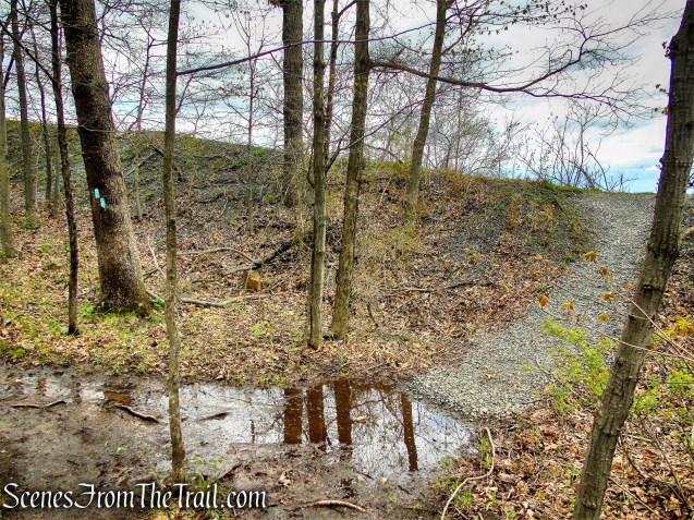 Mattabesett Trail - Chauncey Peak