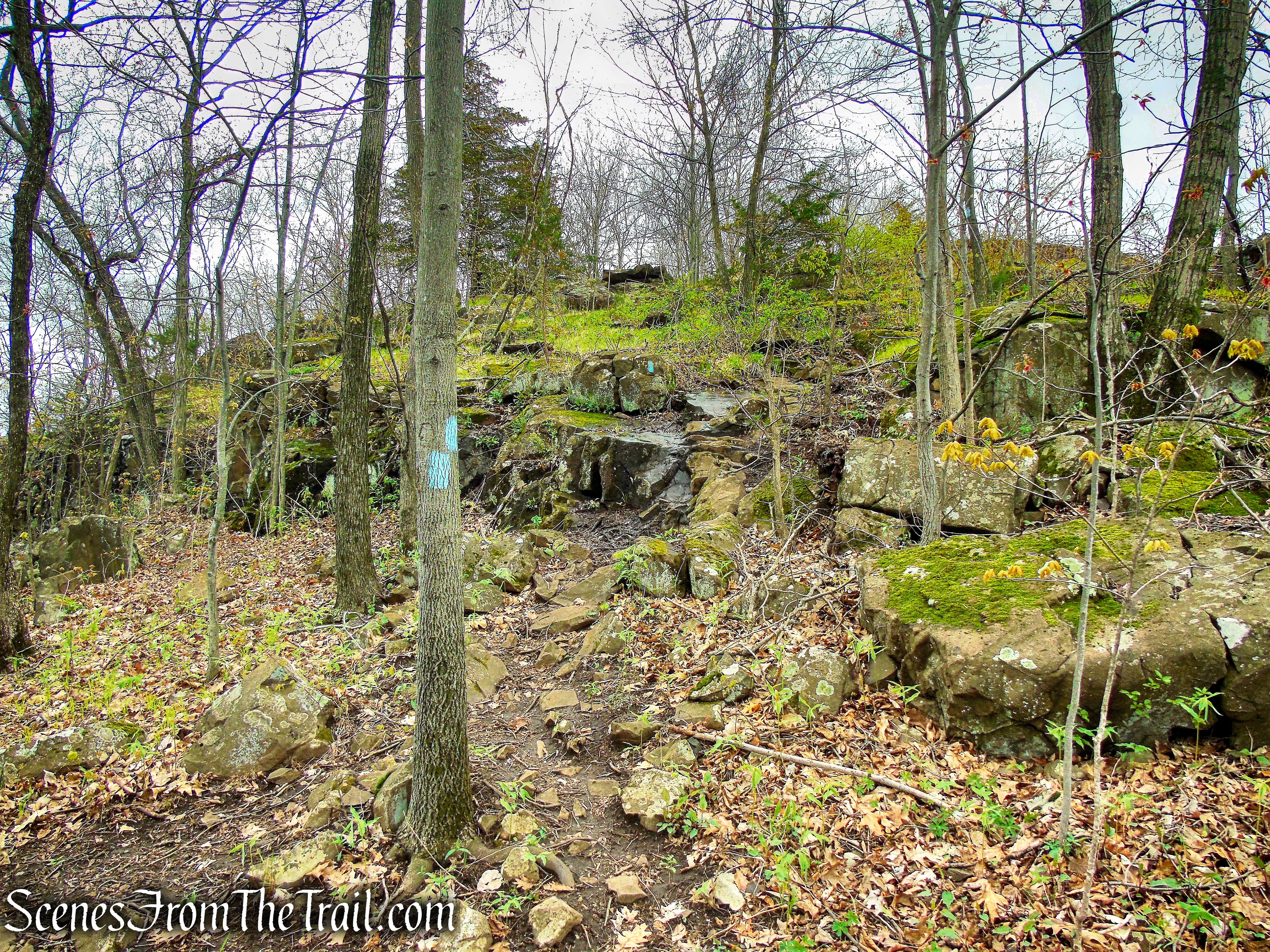 Mattabesett Trail - Chauncey Peak