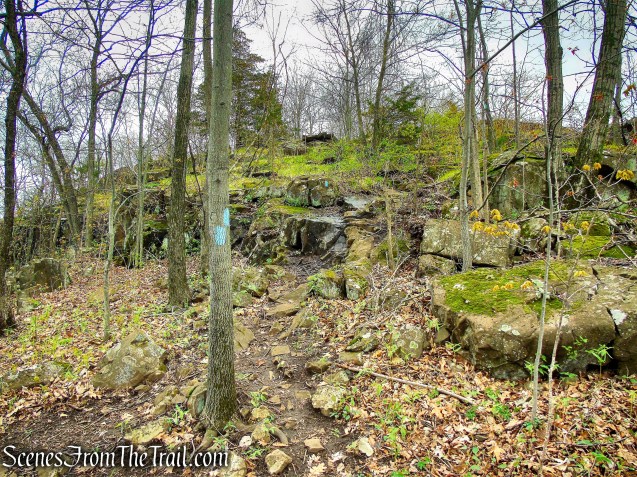 Mattabesett Trail - Chauncey Peak