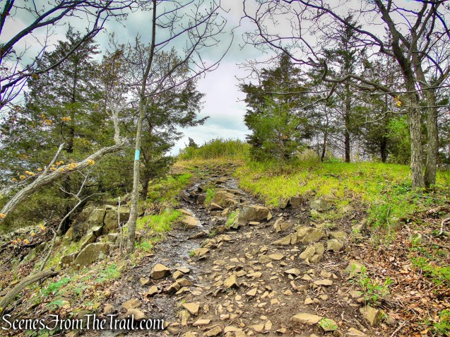 Mattabesett Trail - Chauncey Peak