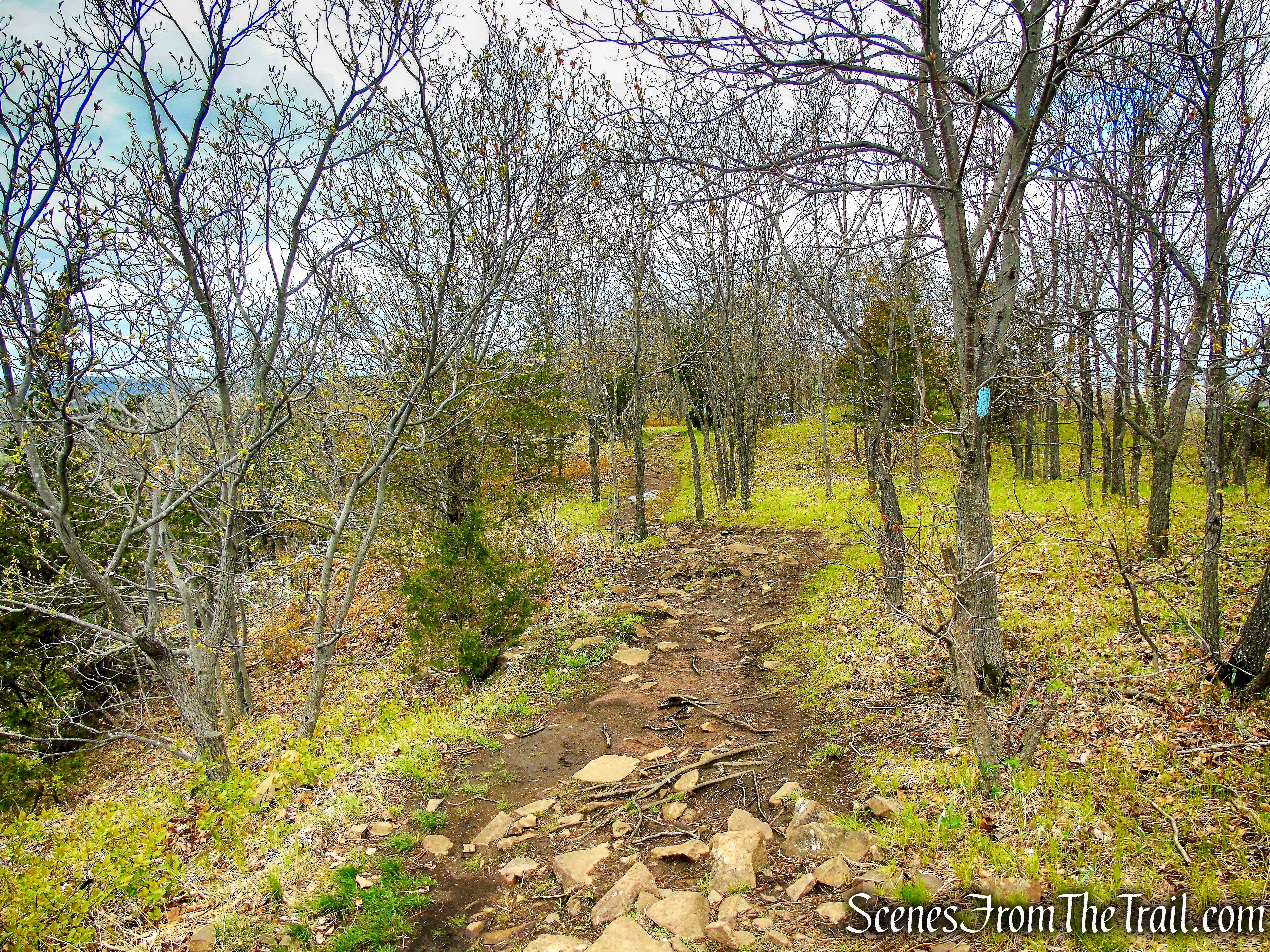 Mattabesett Trail - Chauncey Peak