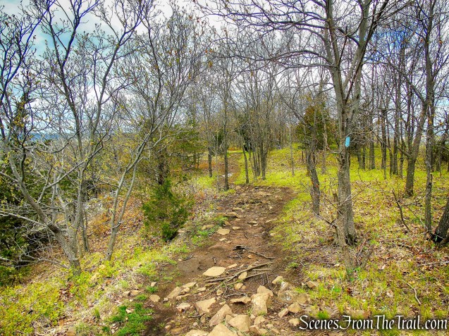 Mattabesett Trail - Chauncey Peak