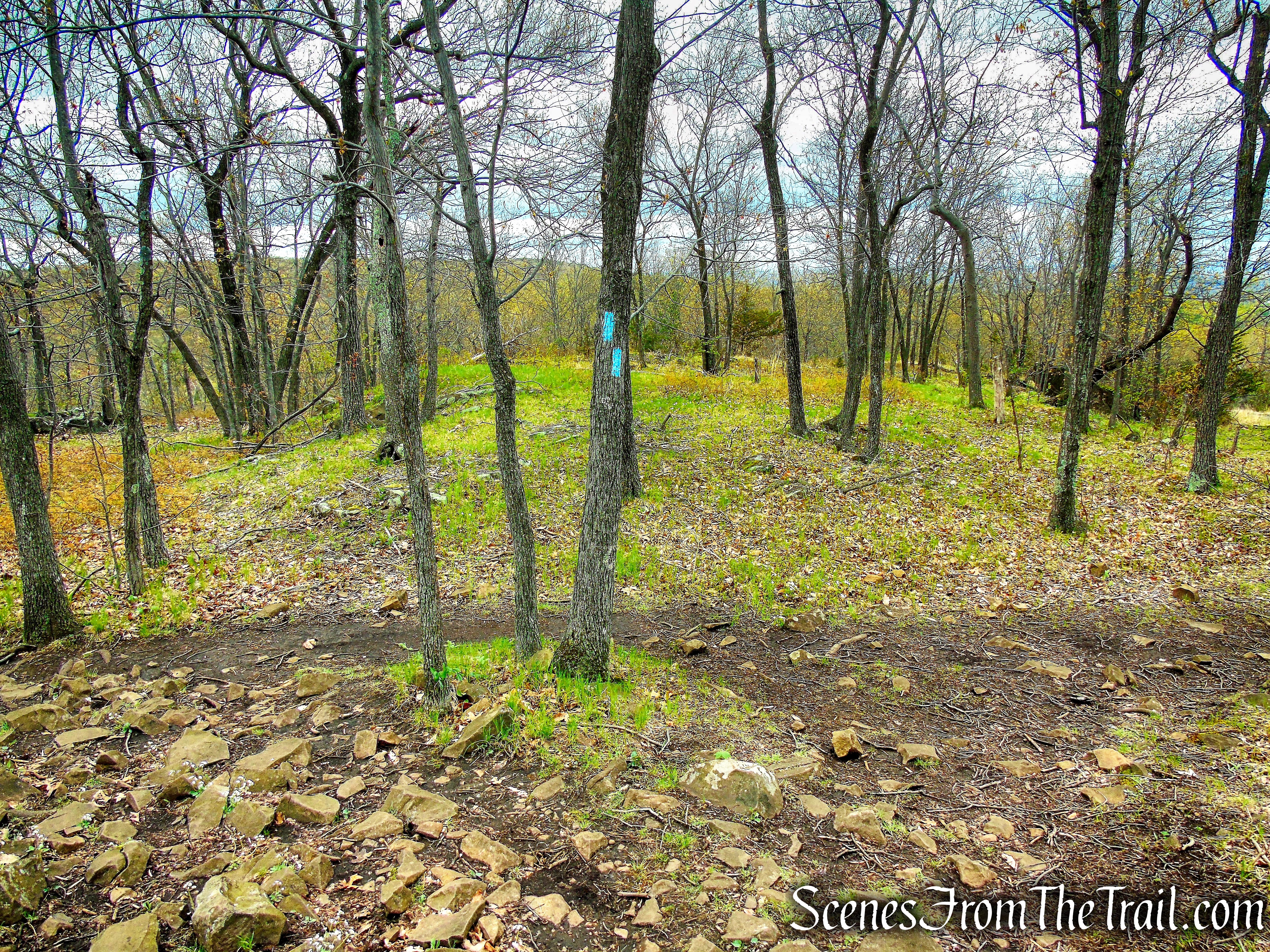 Mattabesett Trail - Chauncey Peak