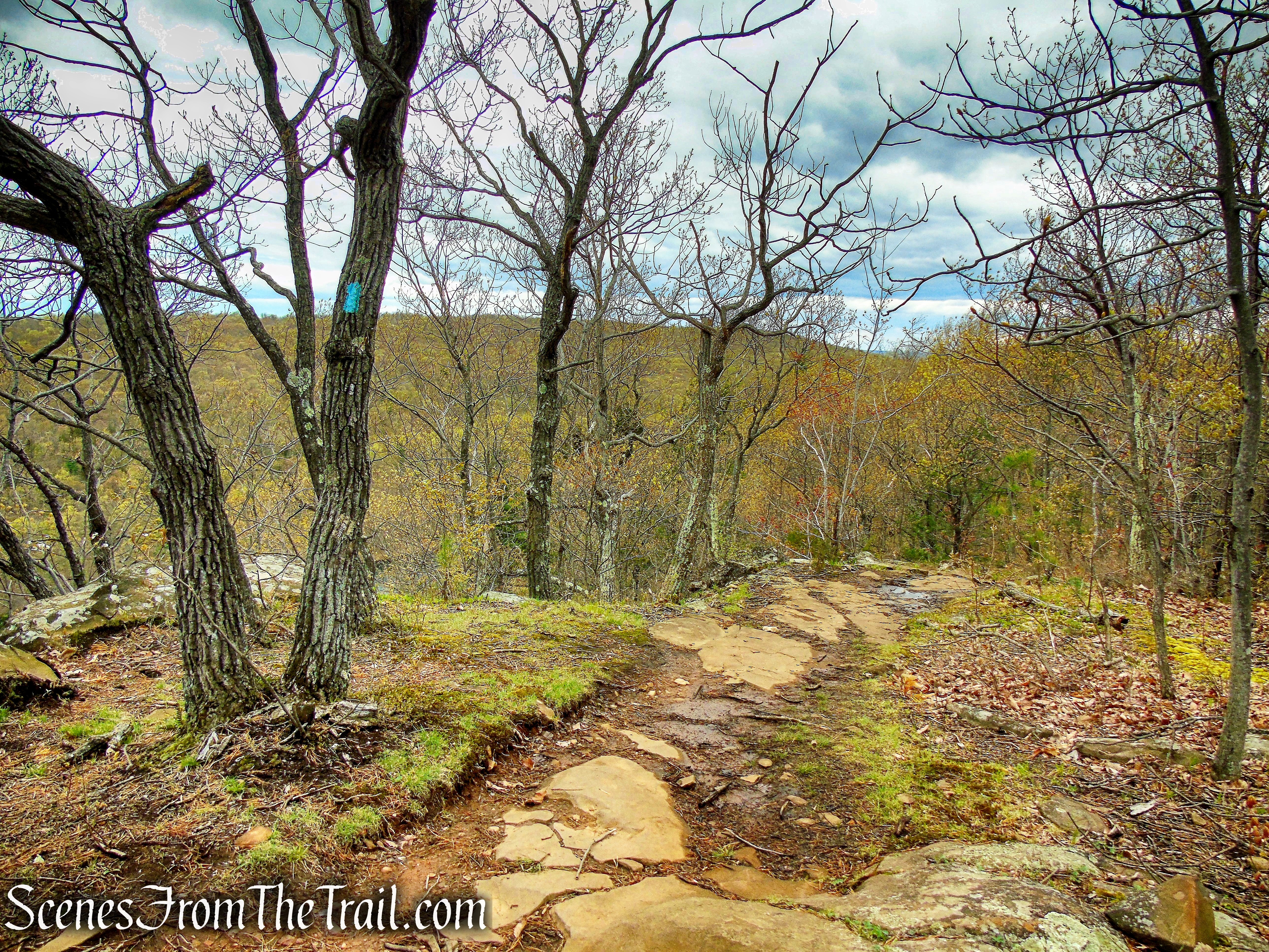 Mattabesett Trail - Chauncey Peak