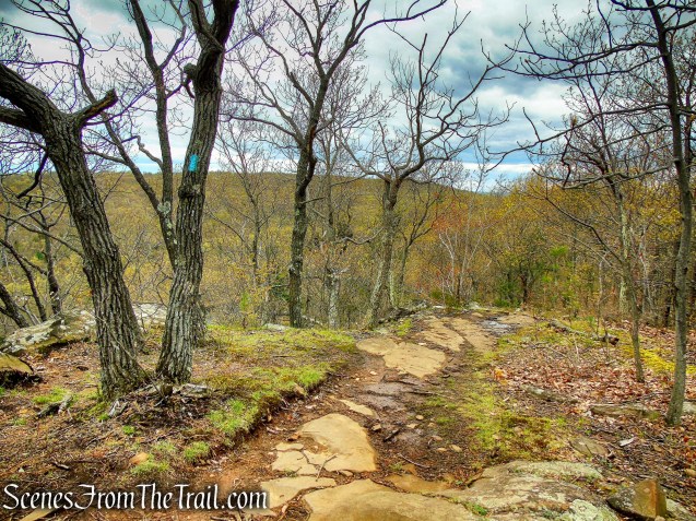 Mattabesett Trail - Chauncey Peak