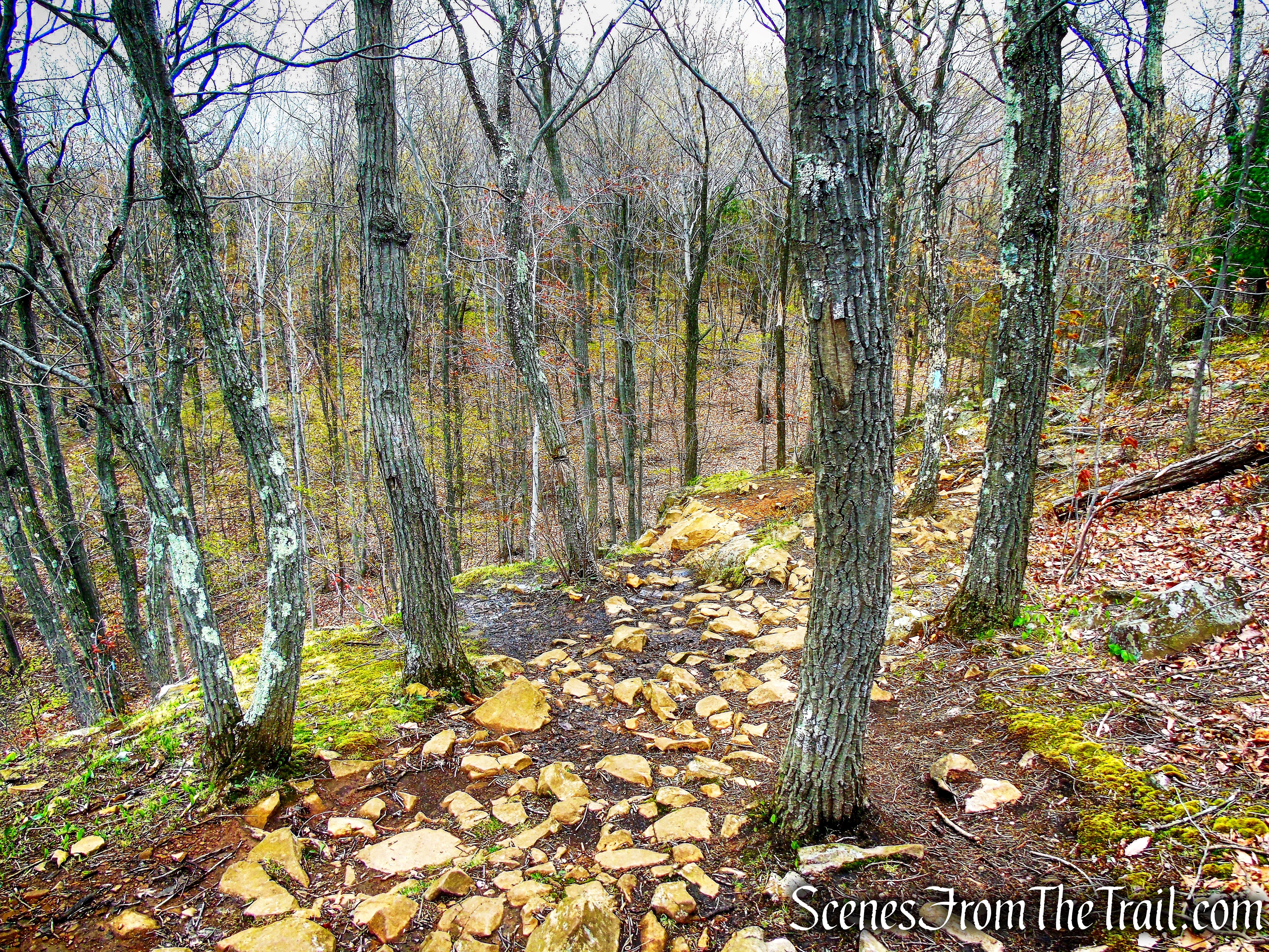 Mattabesett Trail - Chauncey Peak