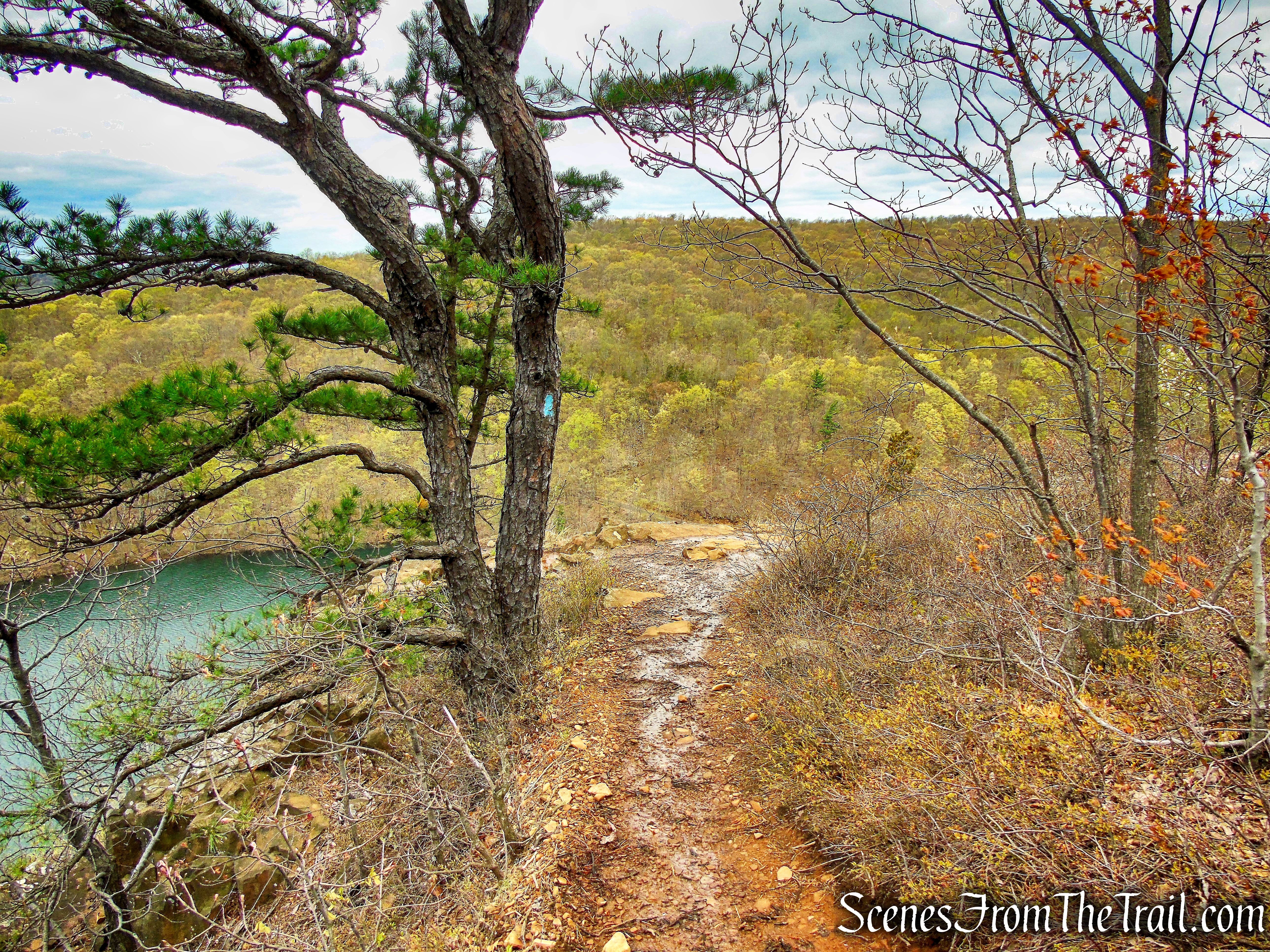 Mattabesett Trail - Chauncey Peak