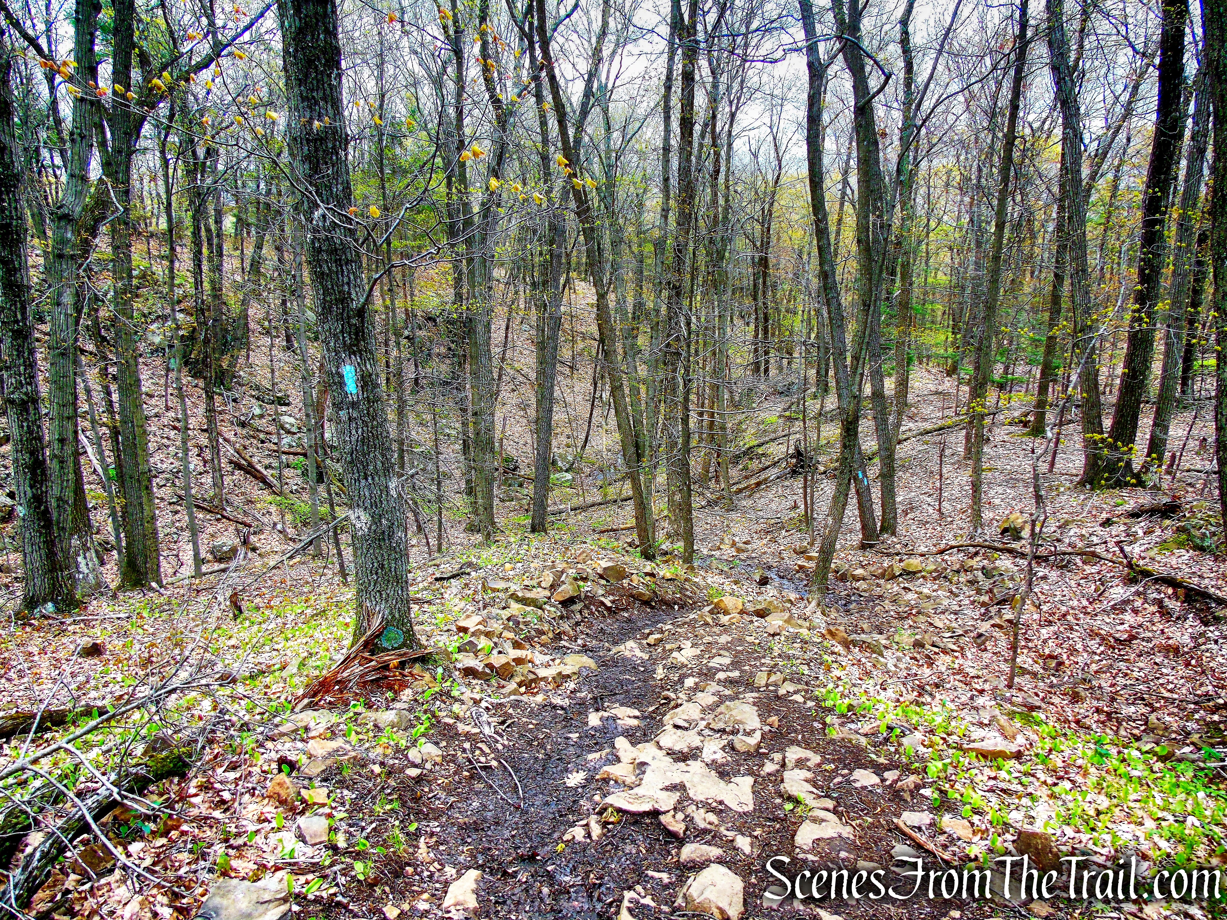 Mattabesett Trail - Chauncey Peak