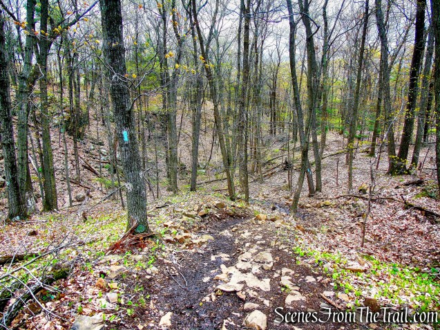 Mattabesett Trail - Chauncey Peak