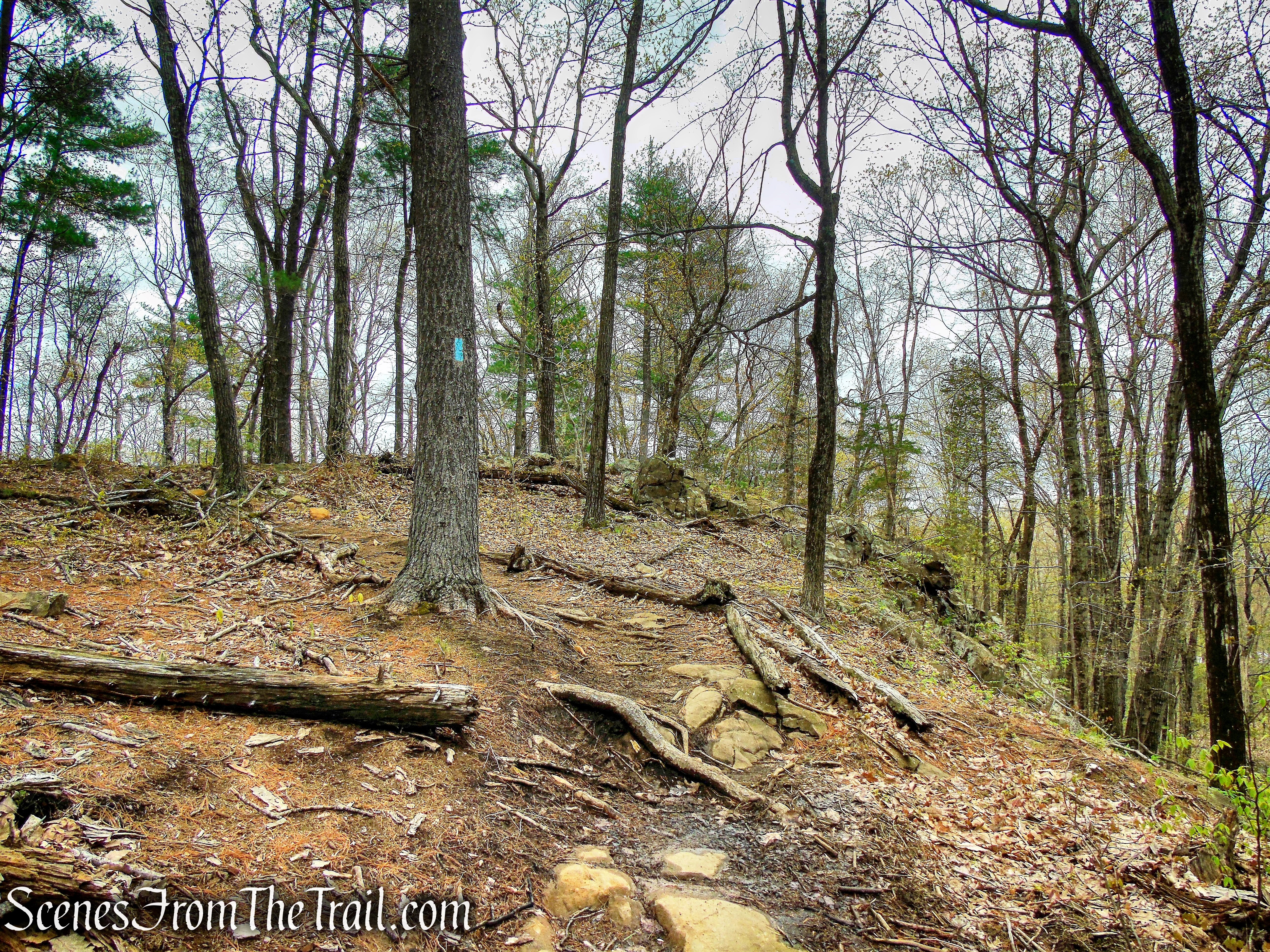 Mattabesett Trail - Chauncey Peak