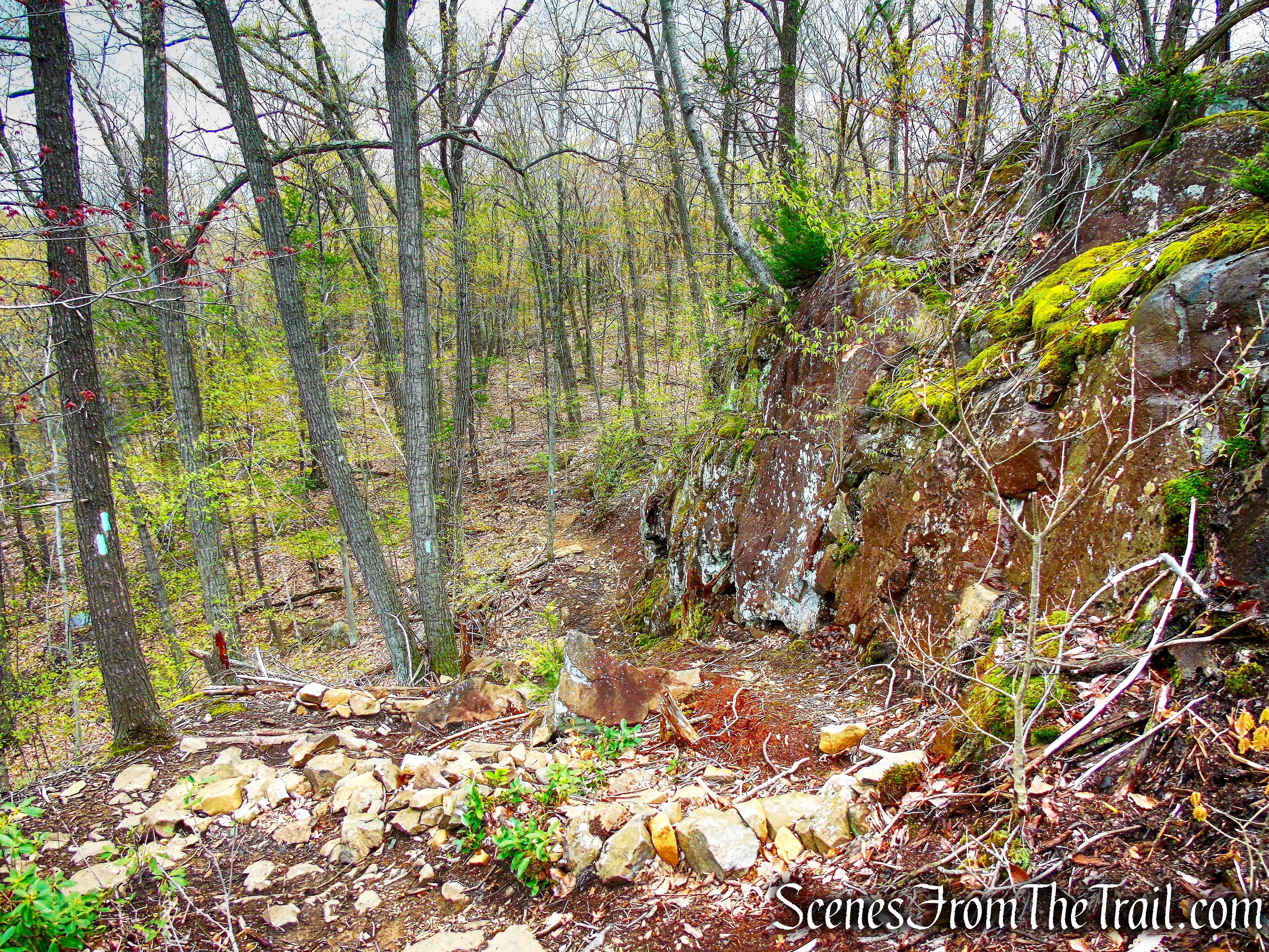 Mattabesett Trail - Chauncey Peak