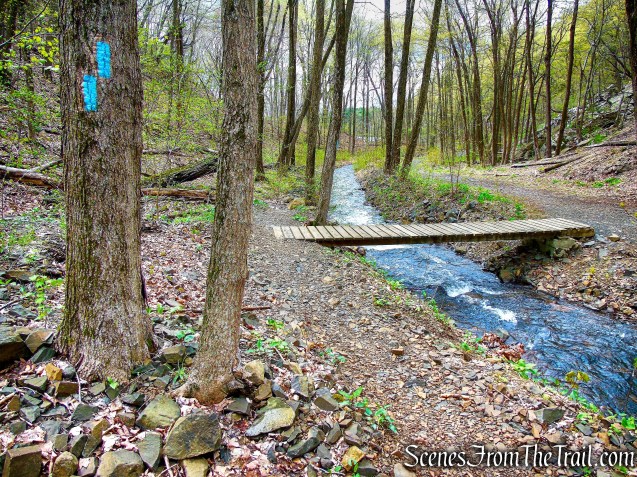 Mattabesett Trail - Chauncey Peak