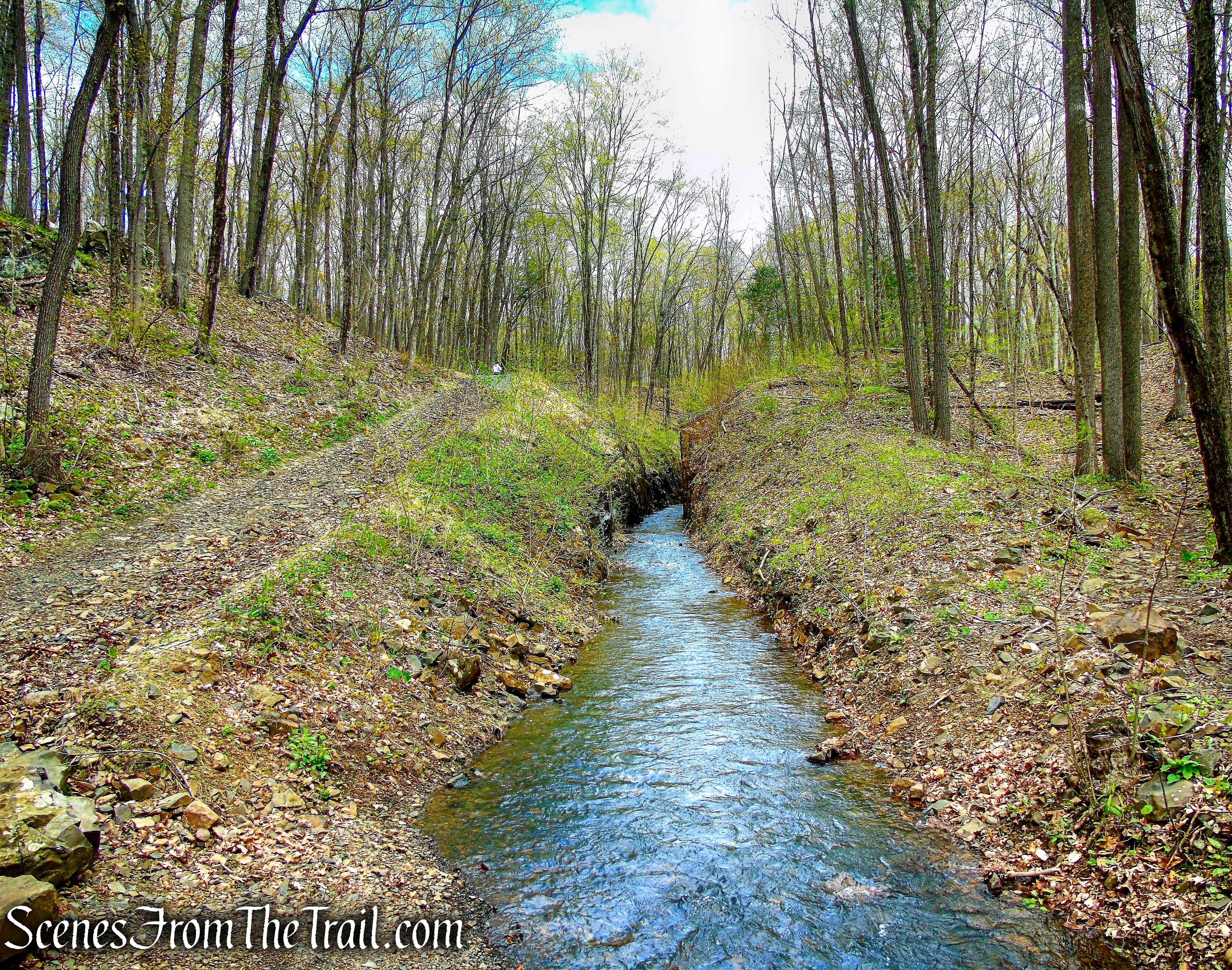 Mattabesett Trail - Chauncey Peak