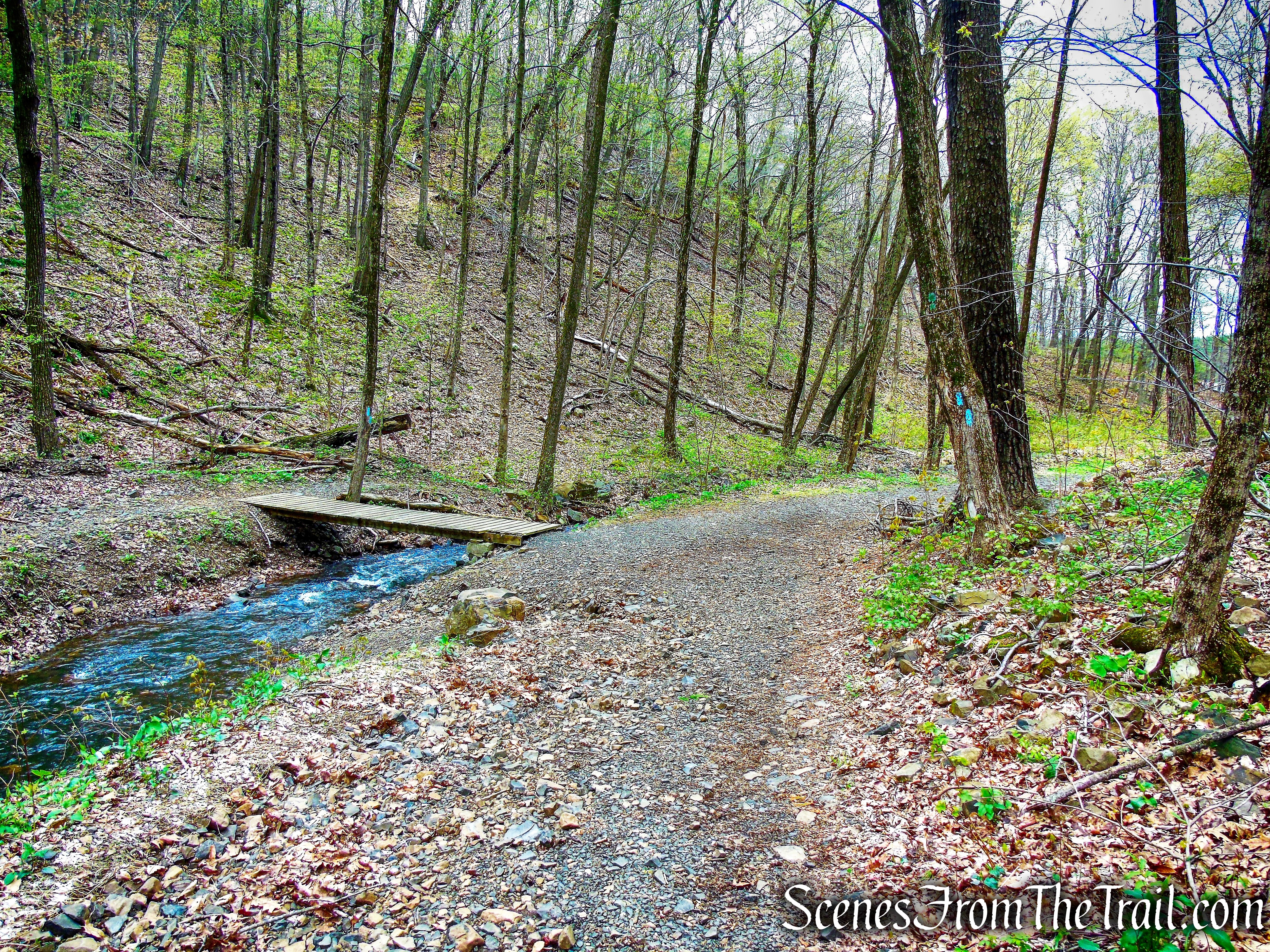 Mattabesett Trail - Giuffrida Park