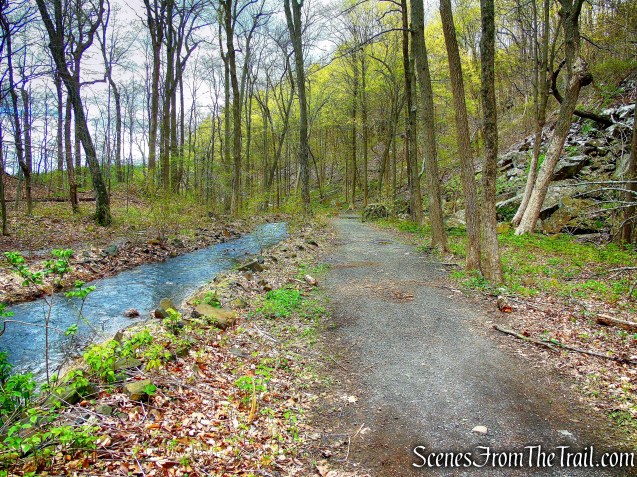 Black Trail - Giuffrida Park