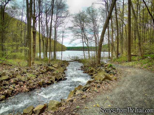 Black Trail - Giuffrida Park