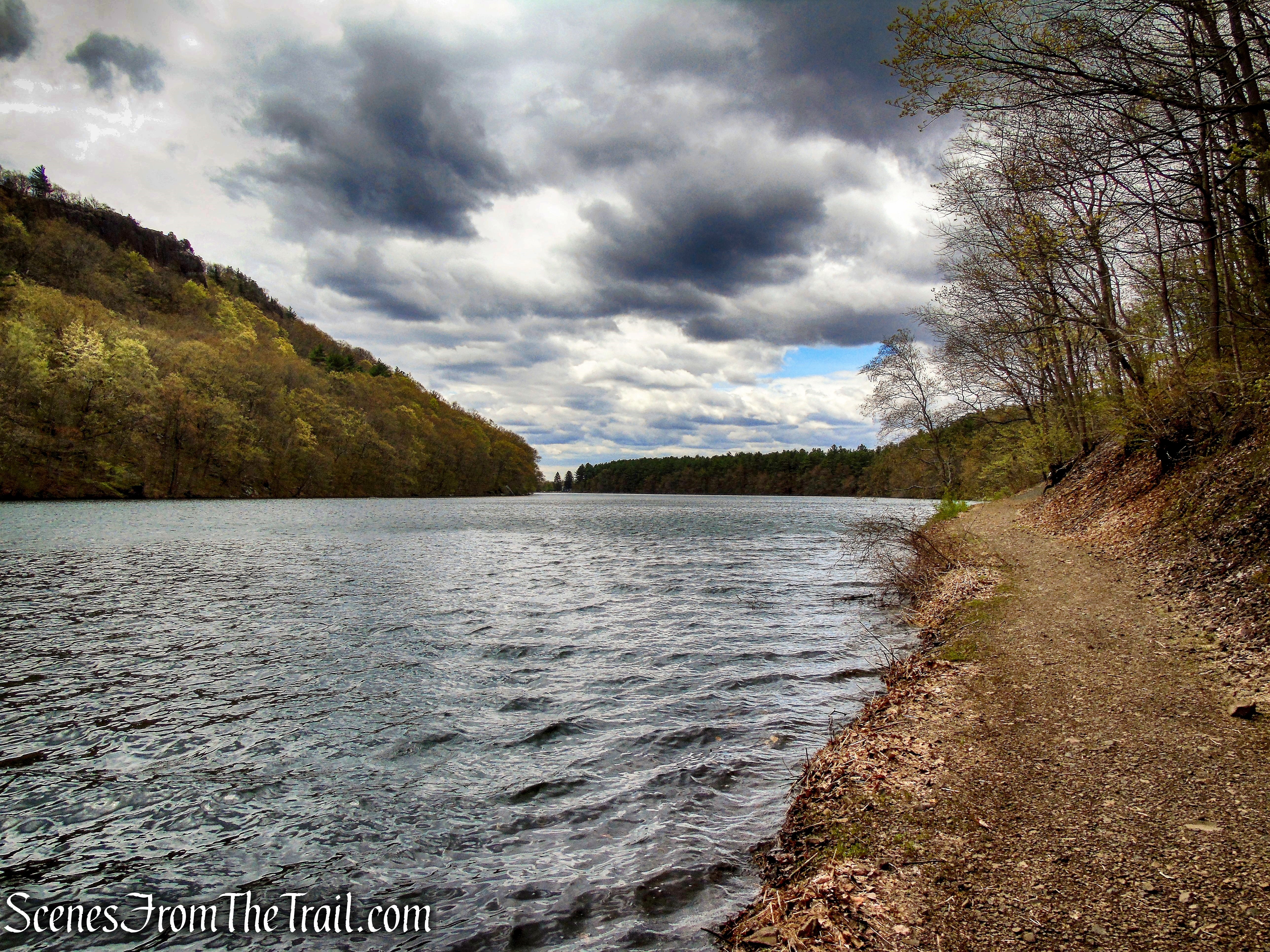 White Trail - Giuffrida Park