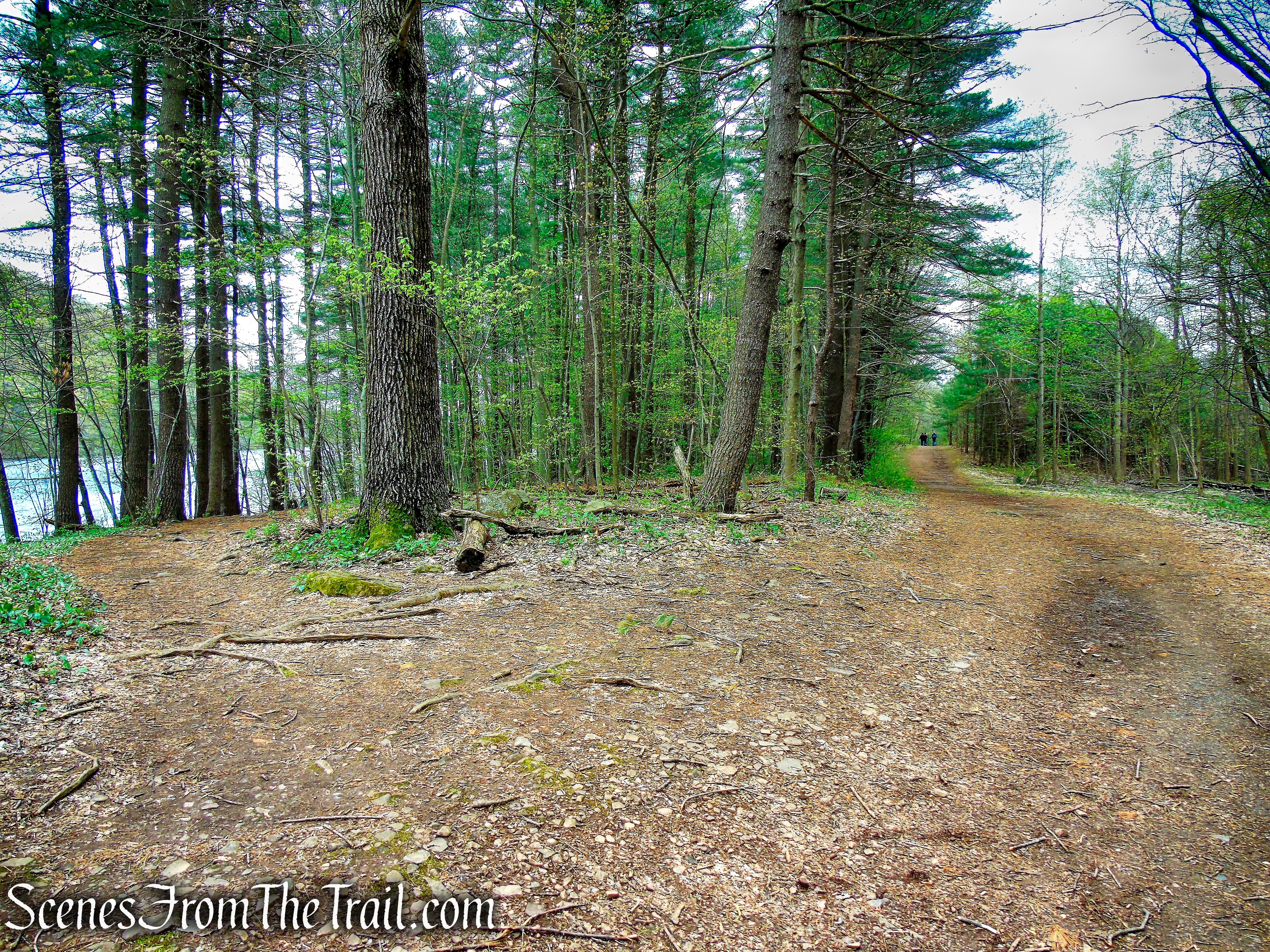 veer left on White Trail - Giuffrida Park