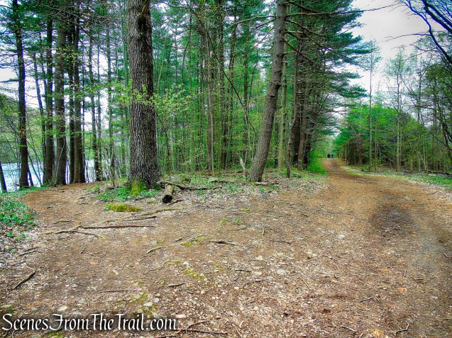 veer left on White Trail - Giuffrida Park