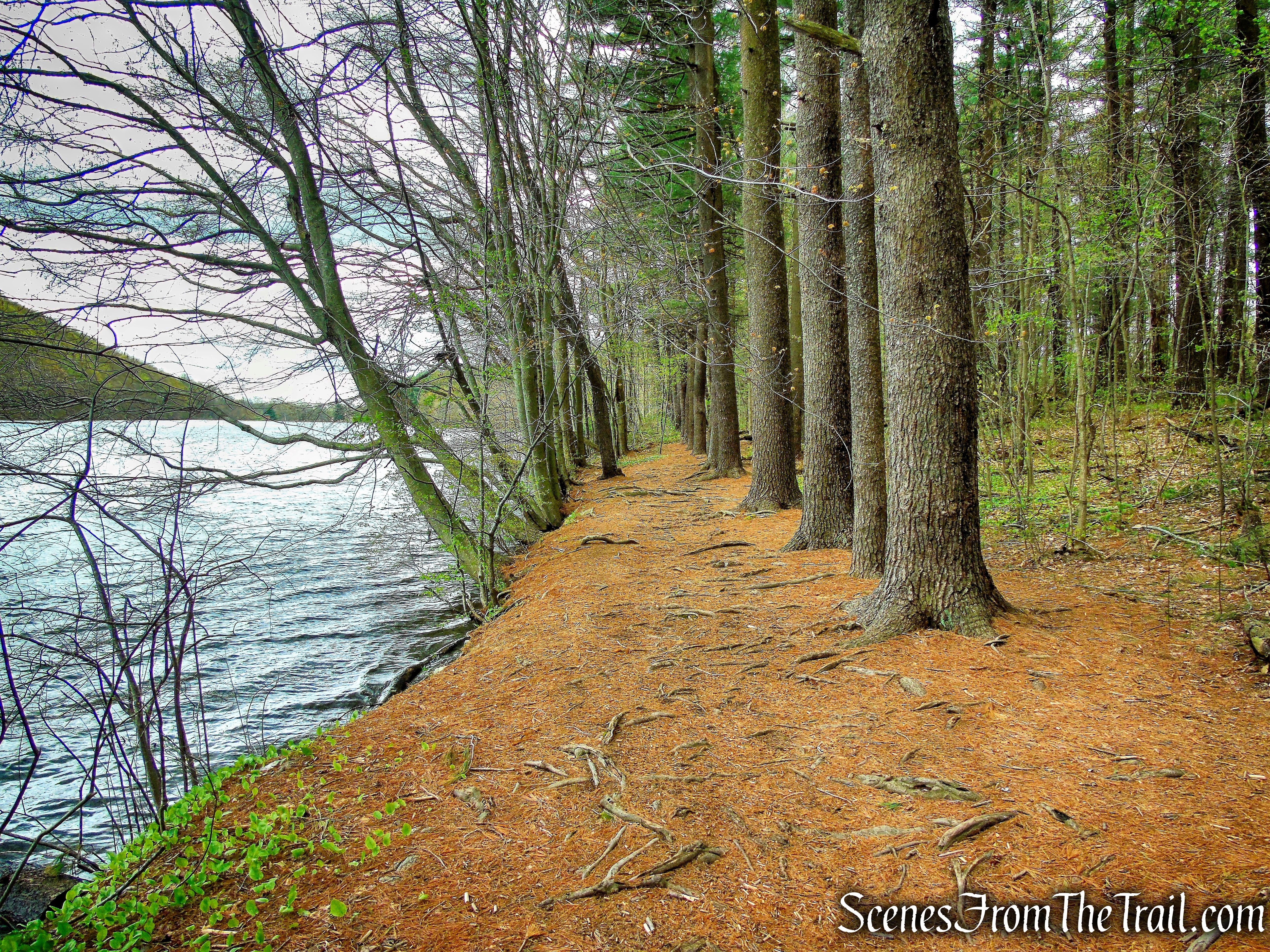 White Trail - Giuffrida Park
