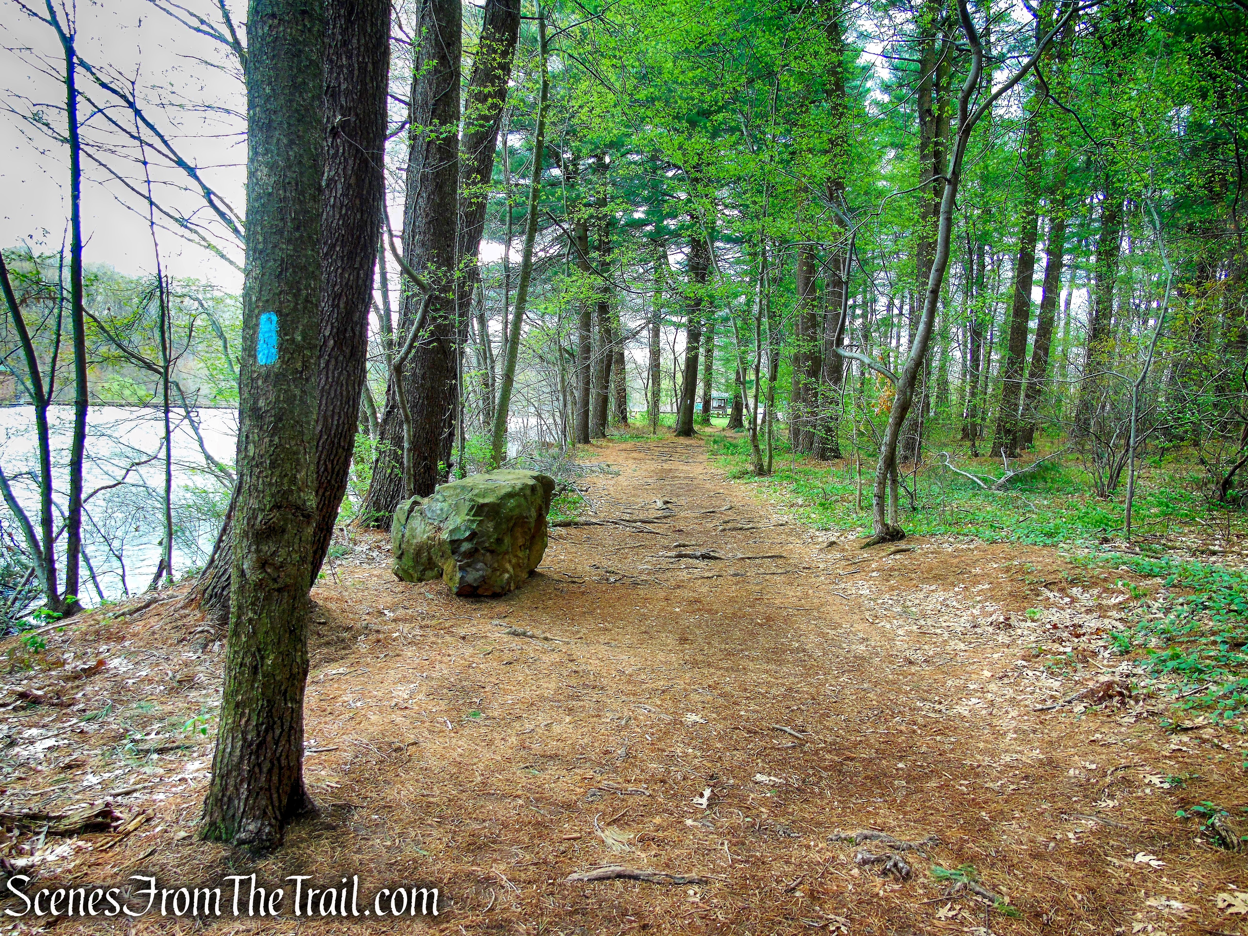 Mattabesett Trail - Giuffrida Park
