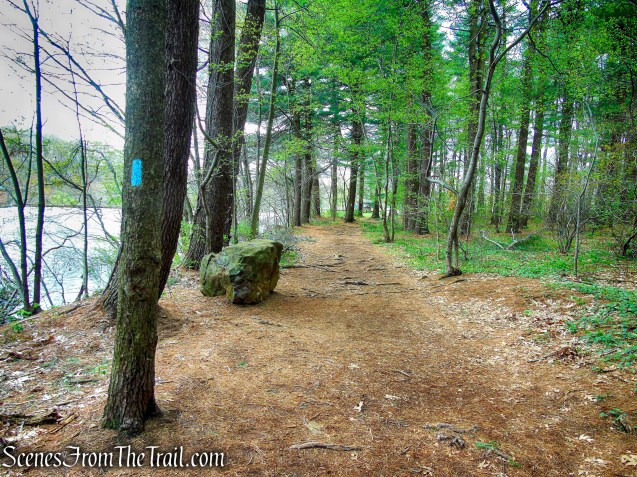 Mattabesett Trail - Giuffrida Park