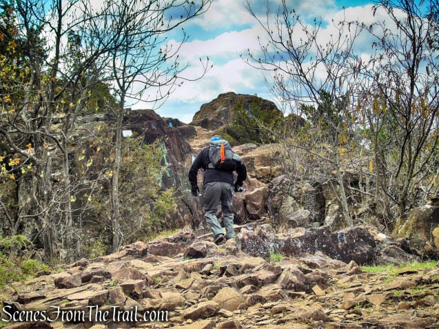 Chauncey Peak Loop - Giuffrida Park