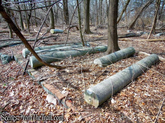 columns - Zabriskie Ruins - Cliff Dale