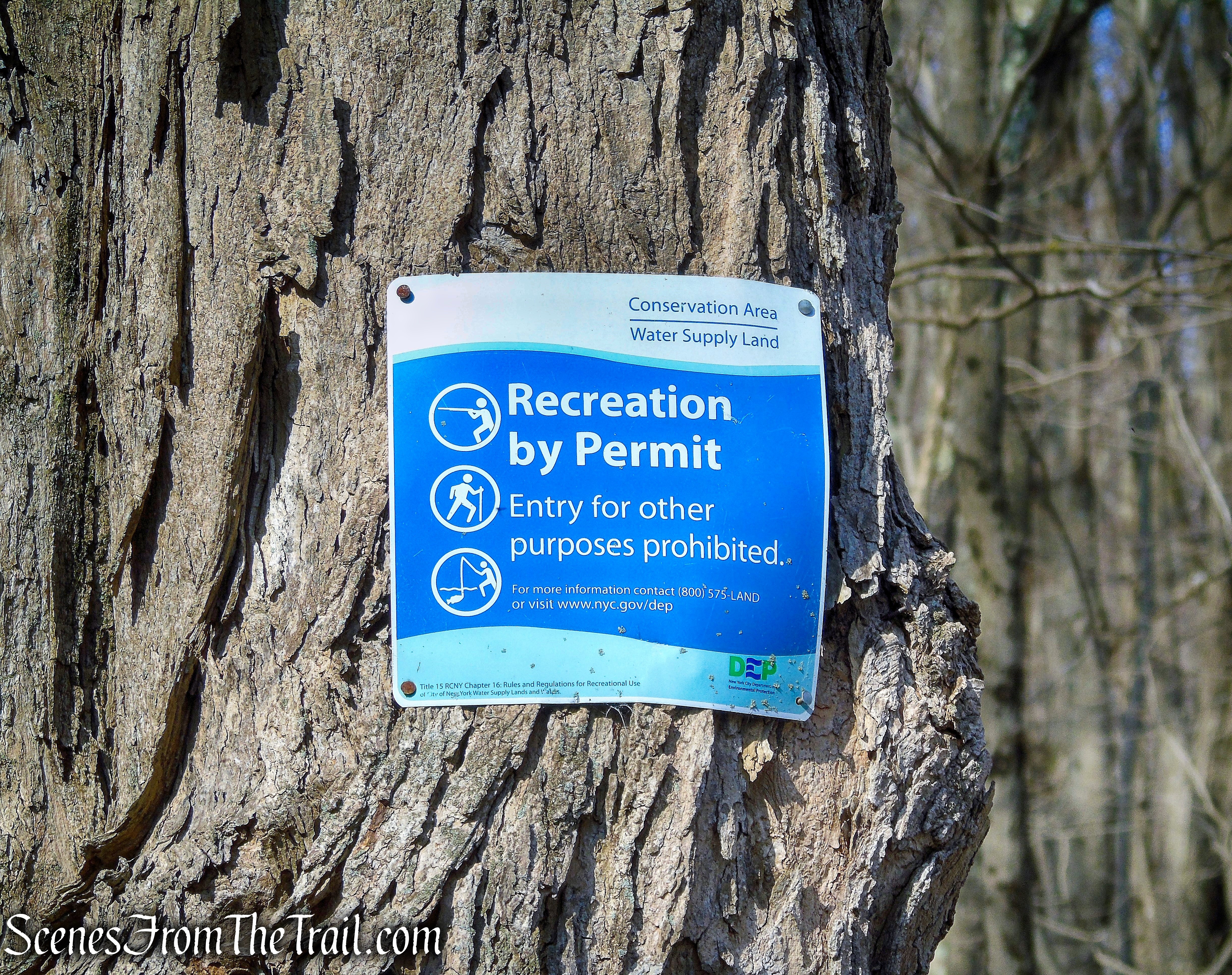 Hawk Rock/Mead Farm Trails