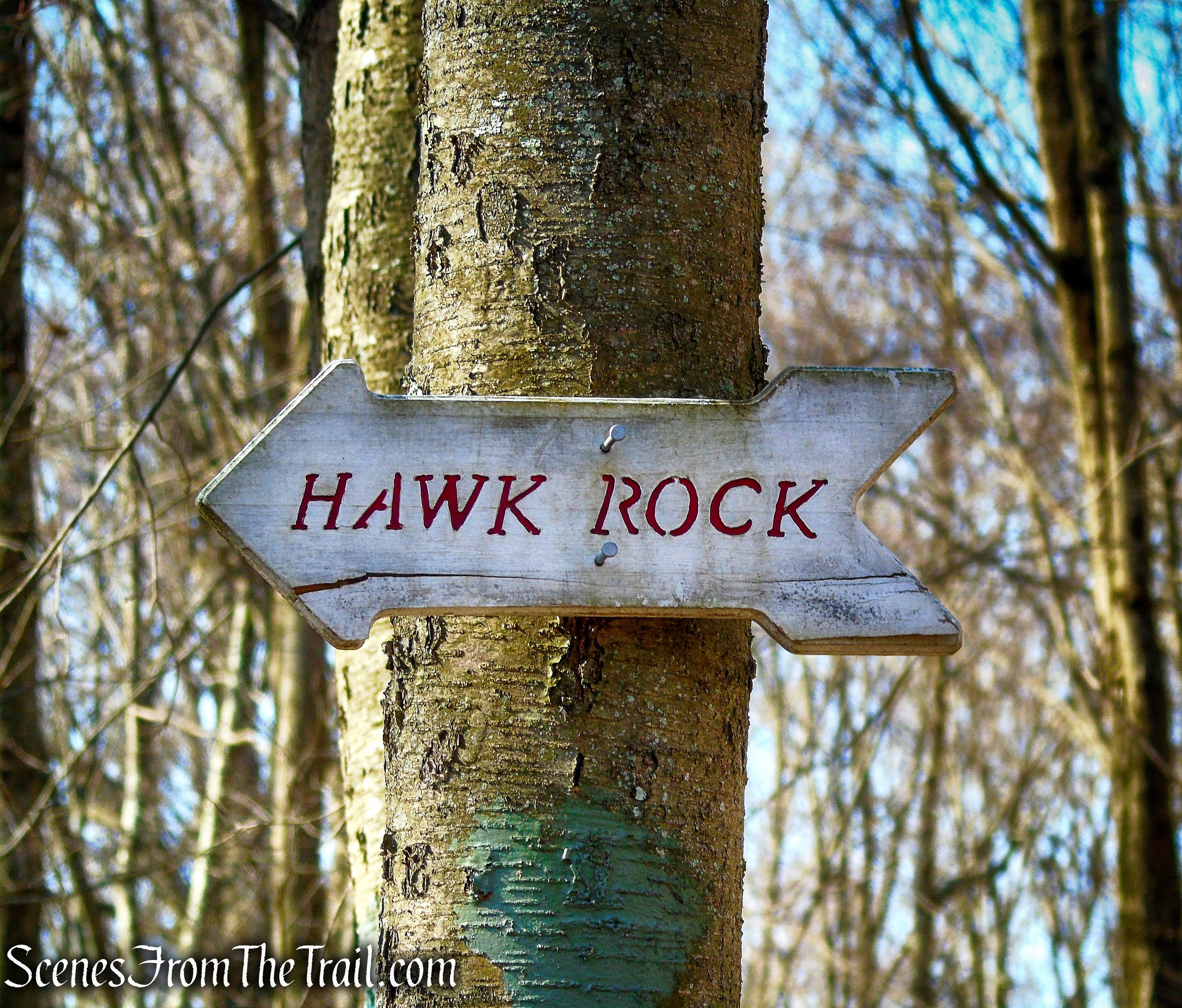 Hawk Rock Trail