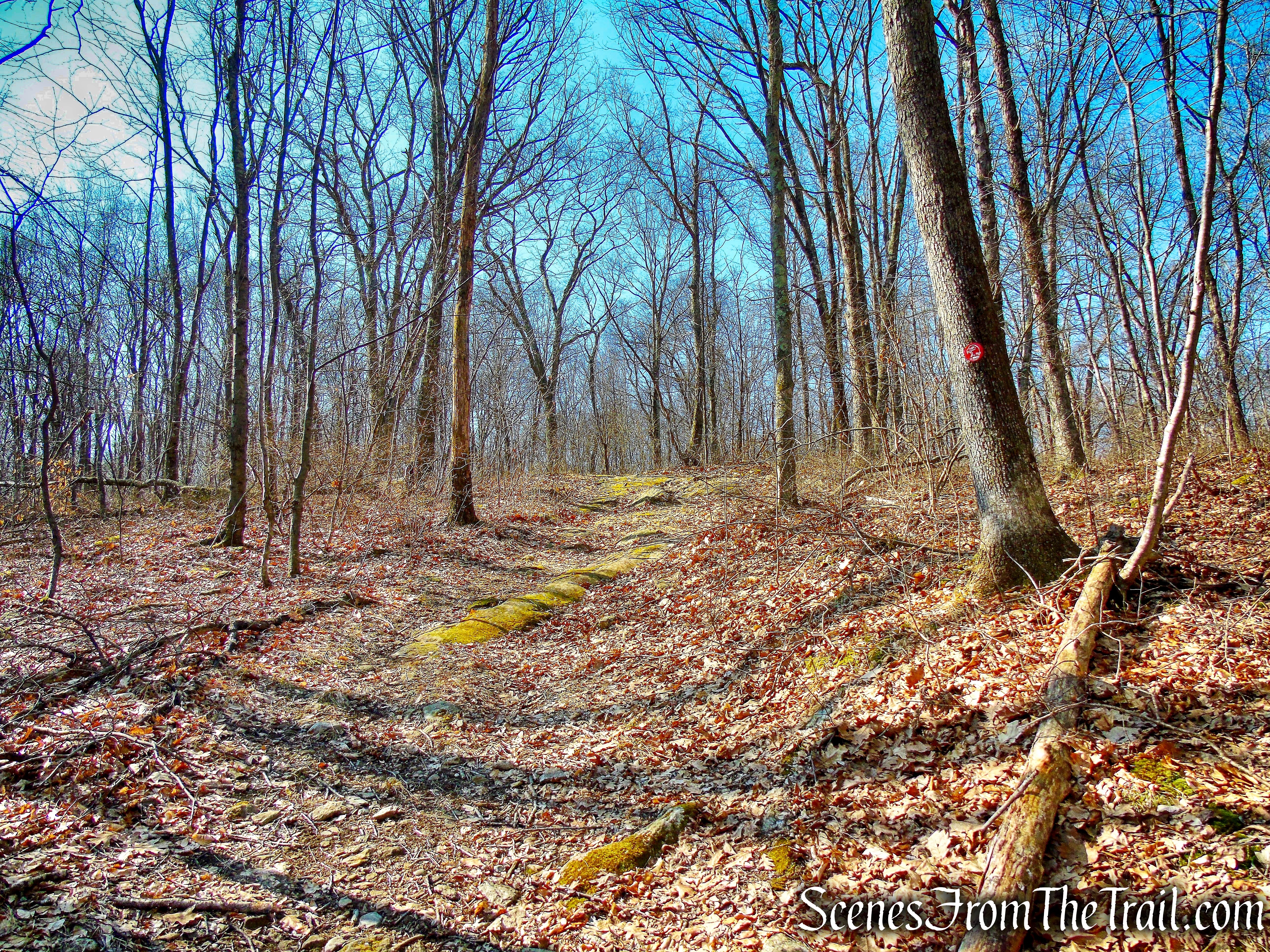 Hawk Rock Trail