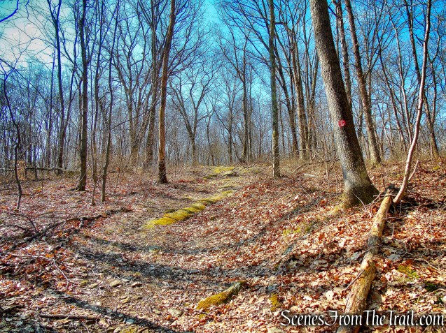 Hawk Rock Trail