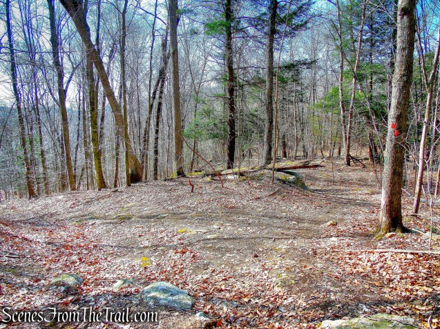 Hawk Rock Trail